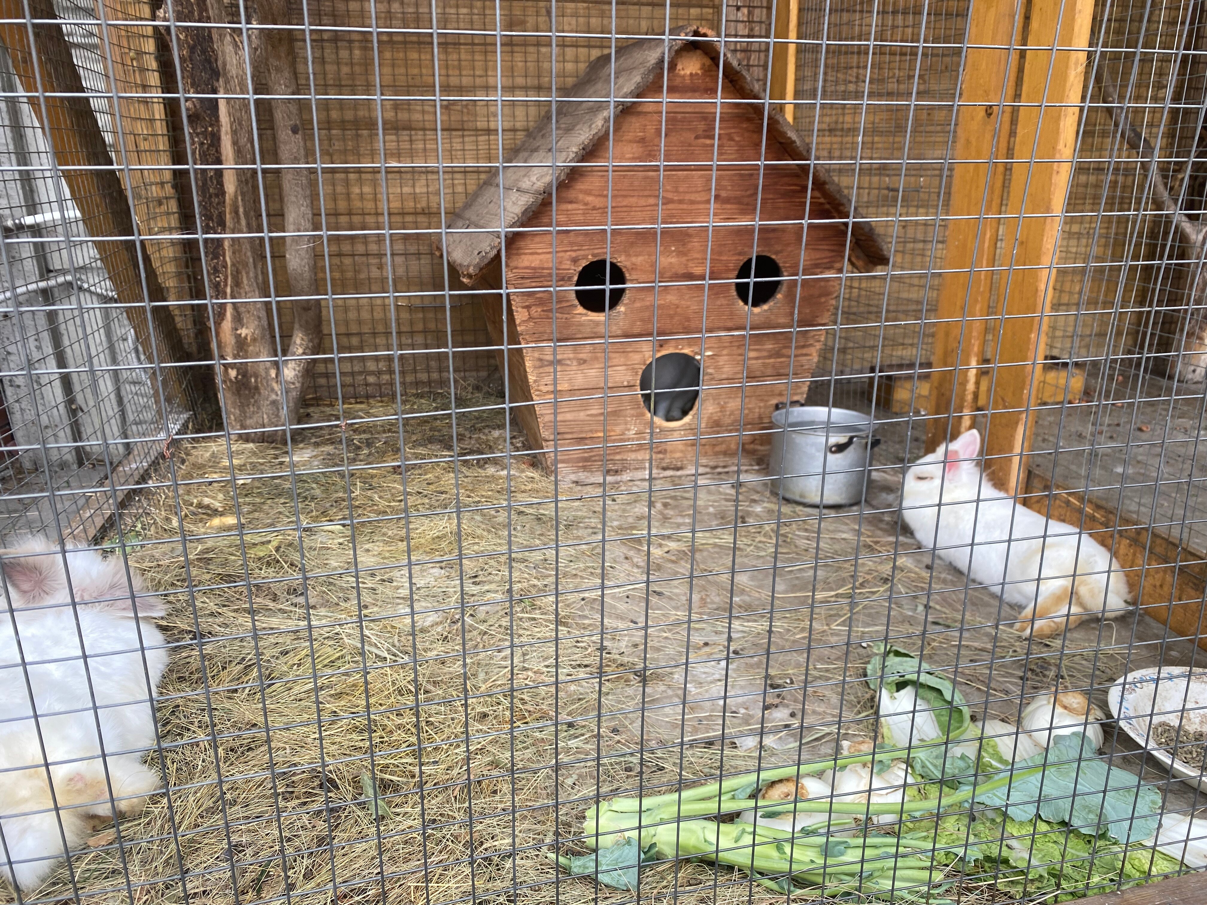 Фото Гнездо Хорошее место