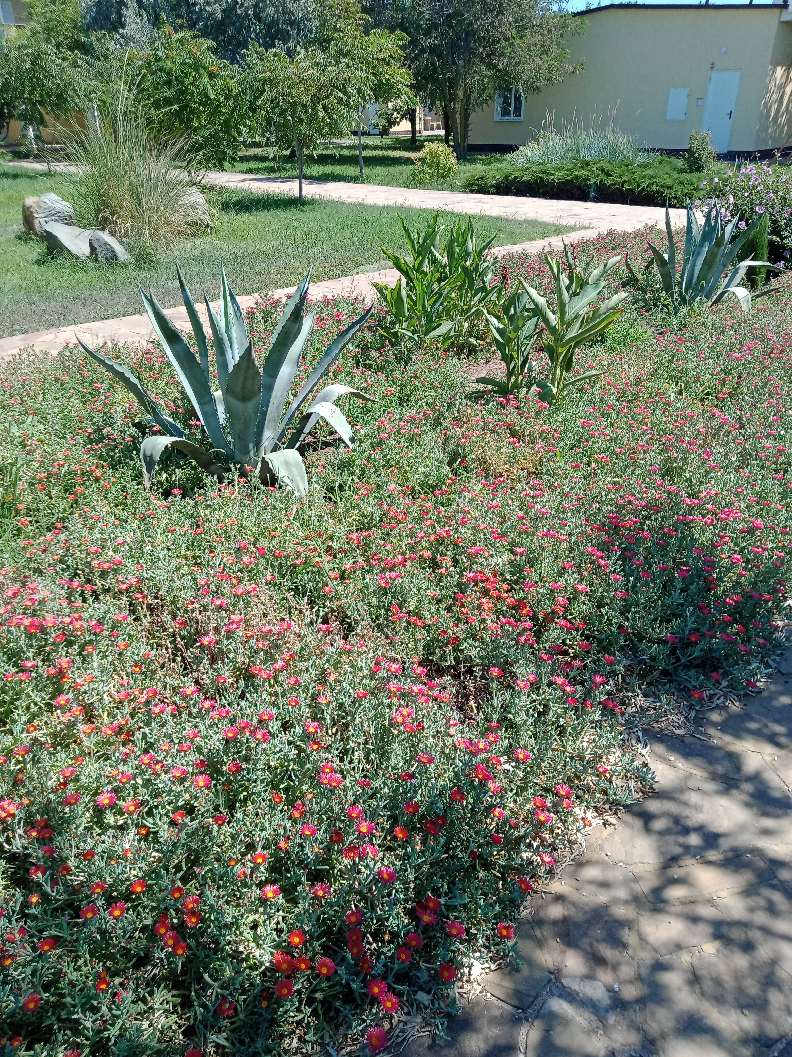 Фото Солнечный берег