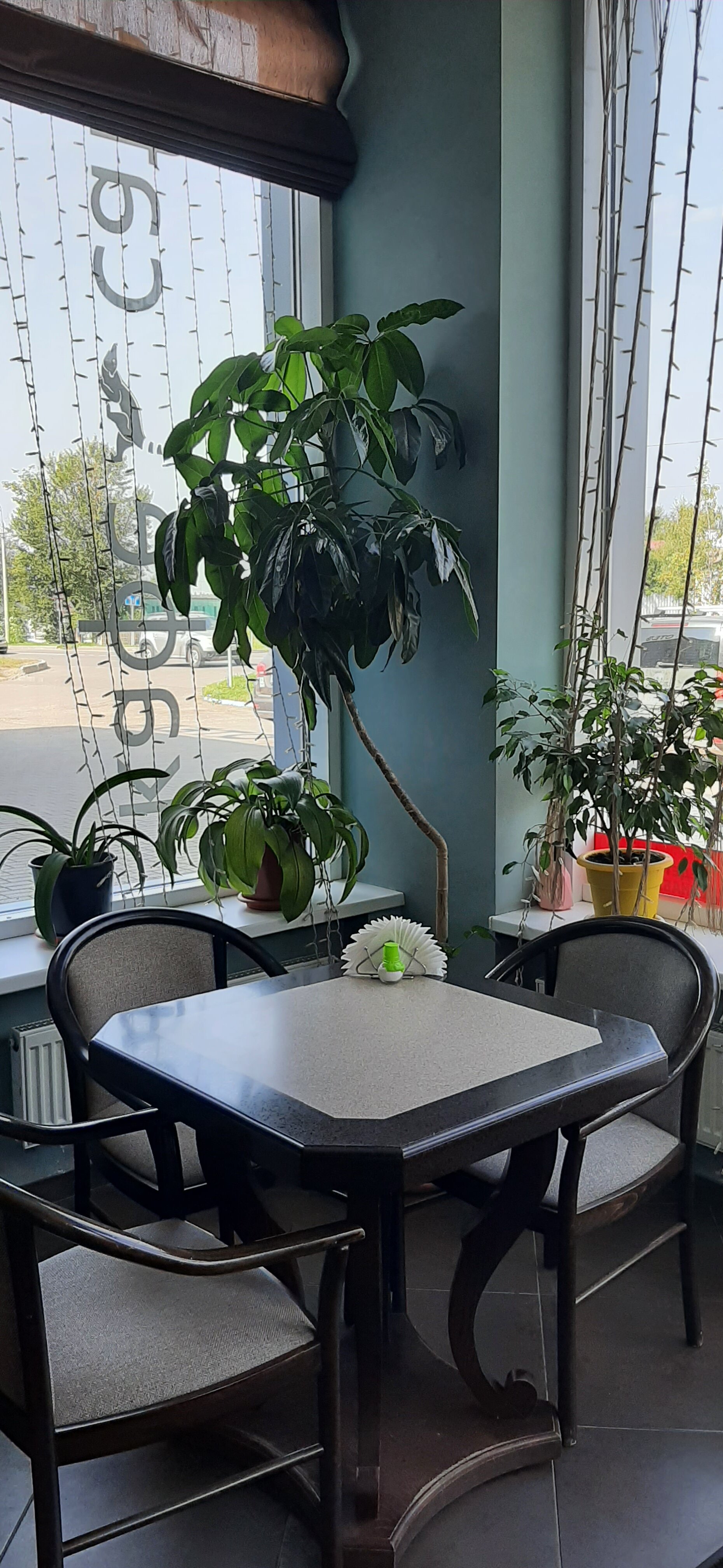 Фото Игуасу