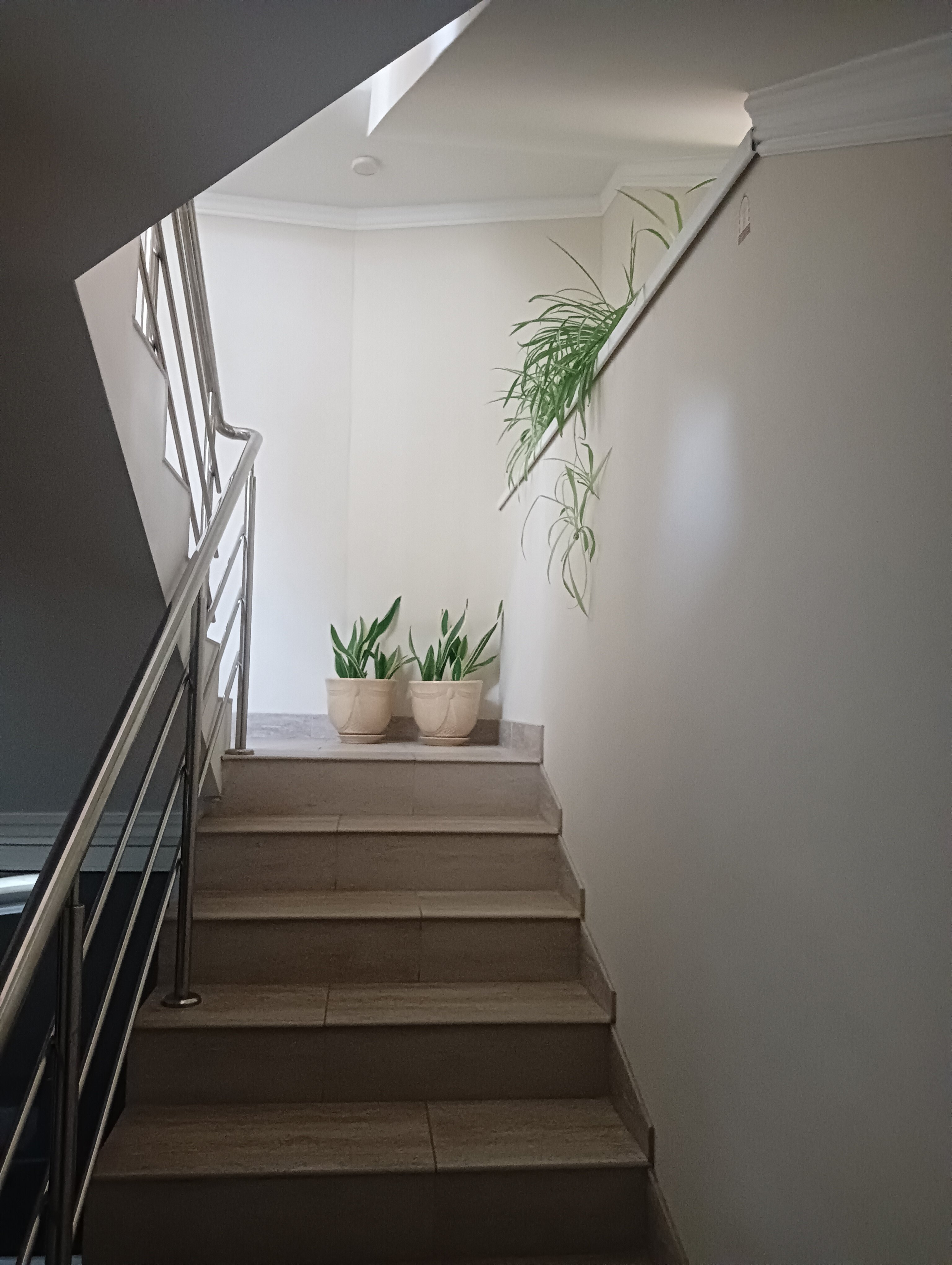 Фото Кайрос