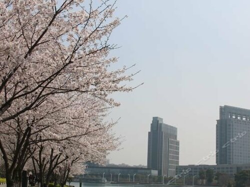 Гостиница Four Points by Sheraton Suzhou в Сучжоу