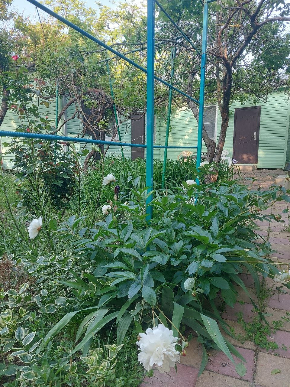 Фото Тихий сад