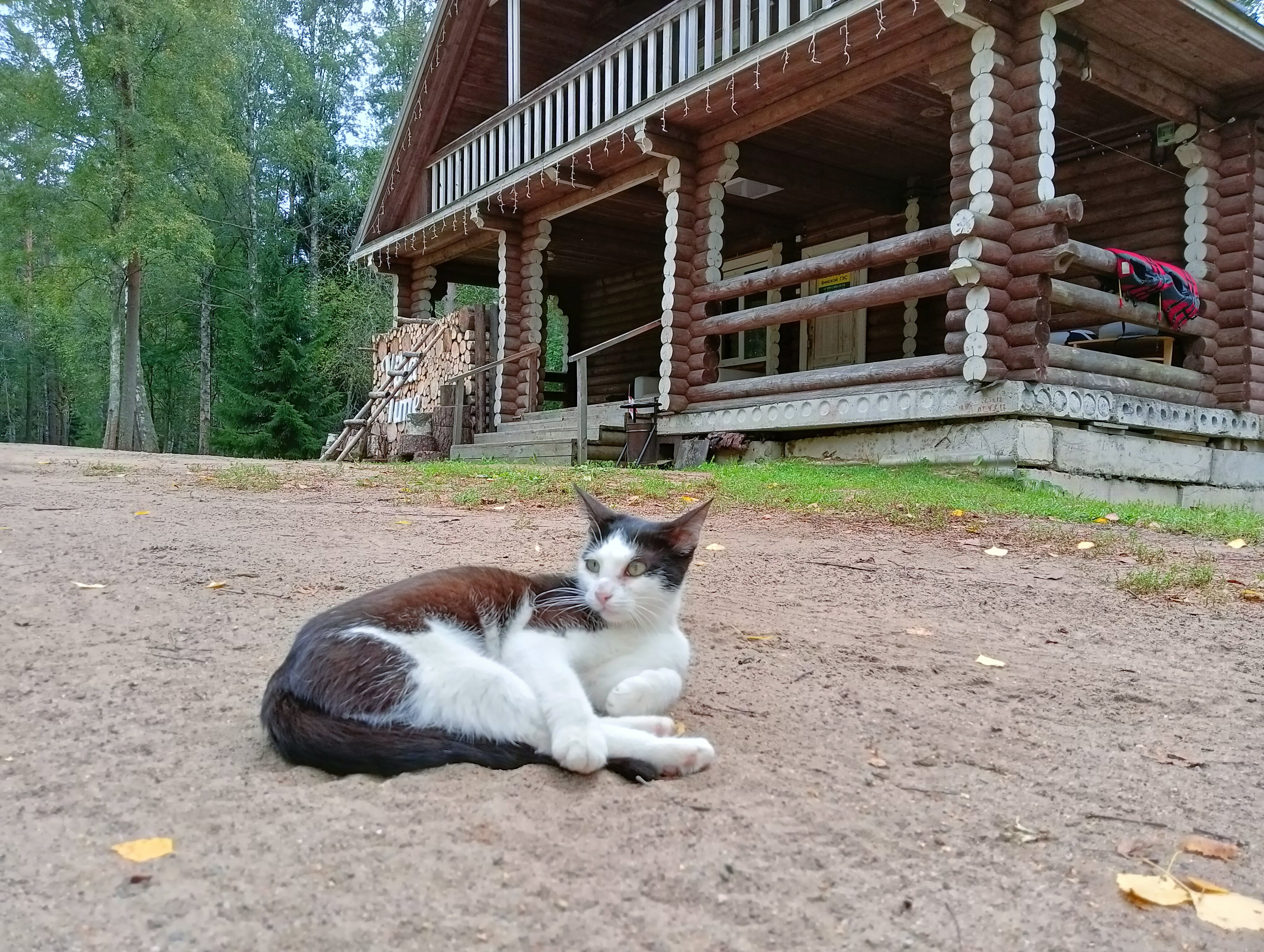 Фото Вилла Тайм