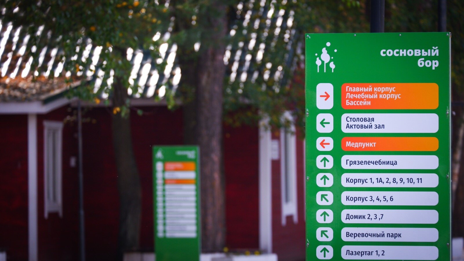 Фото Сосновый бор