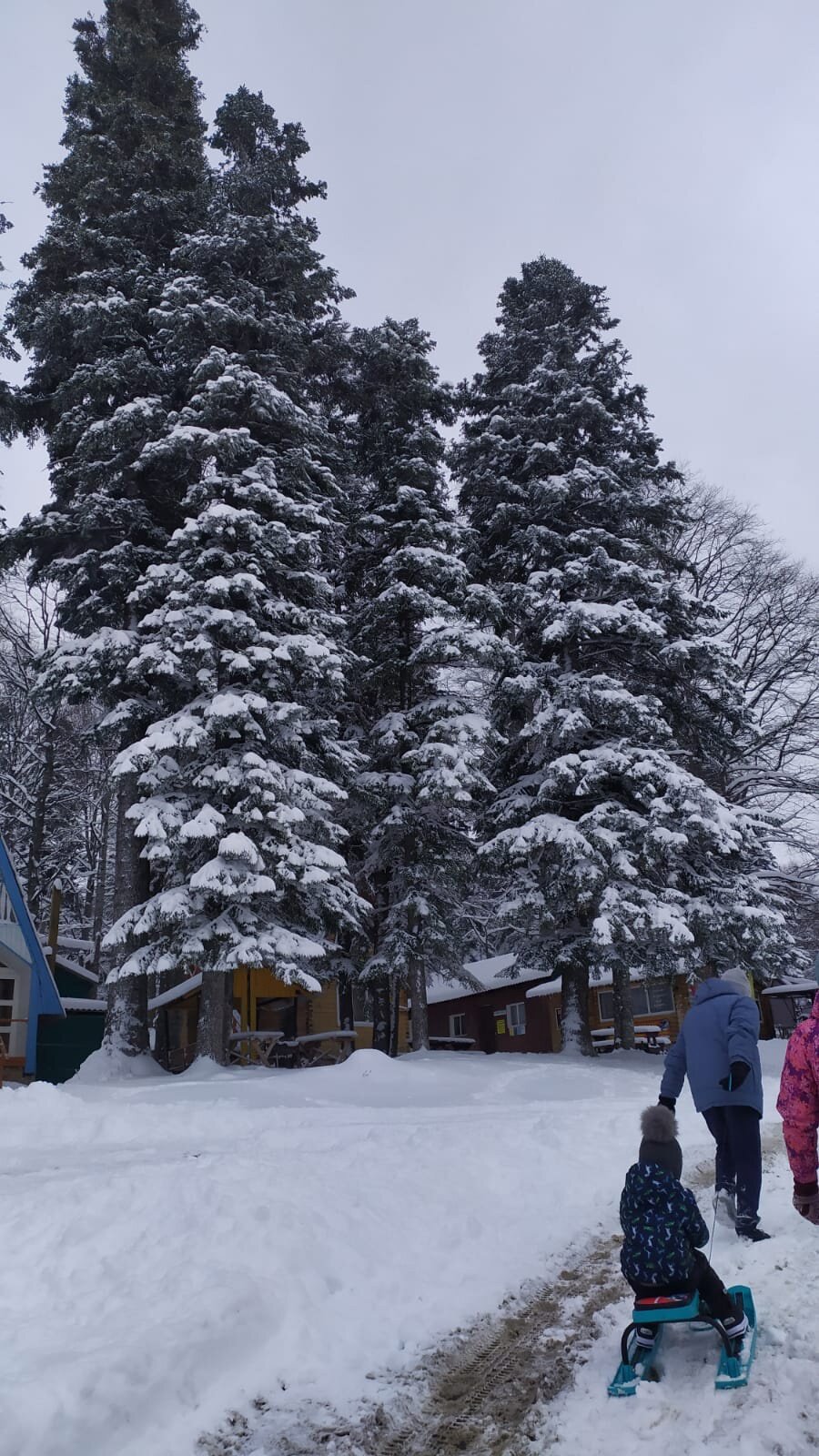 Фото Романтик у реки