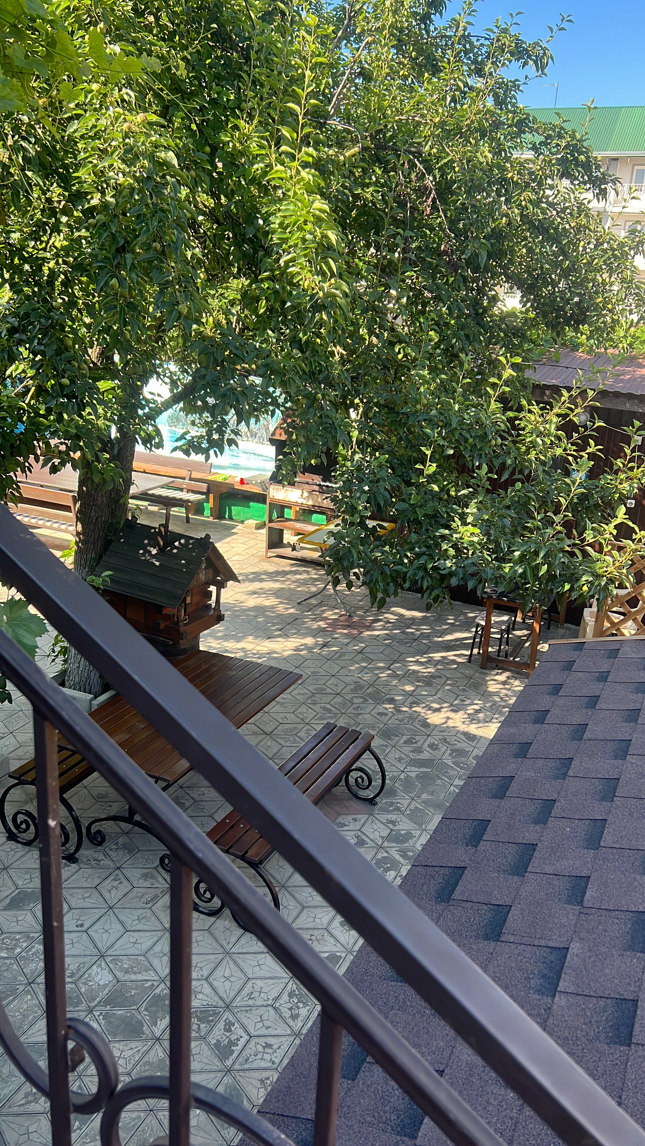 Фото Лесная быль