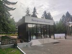 Клуб Женской Силы (ул. Пушкина, 26), психологическая служба в Ессентуках