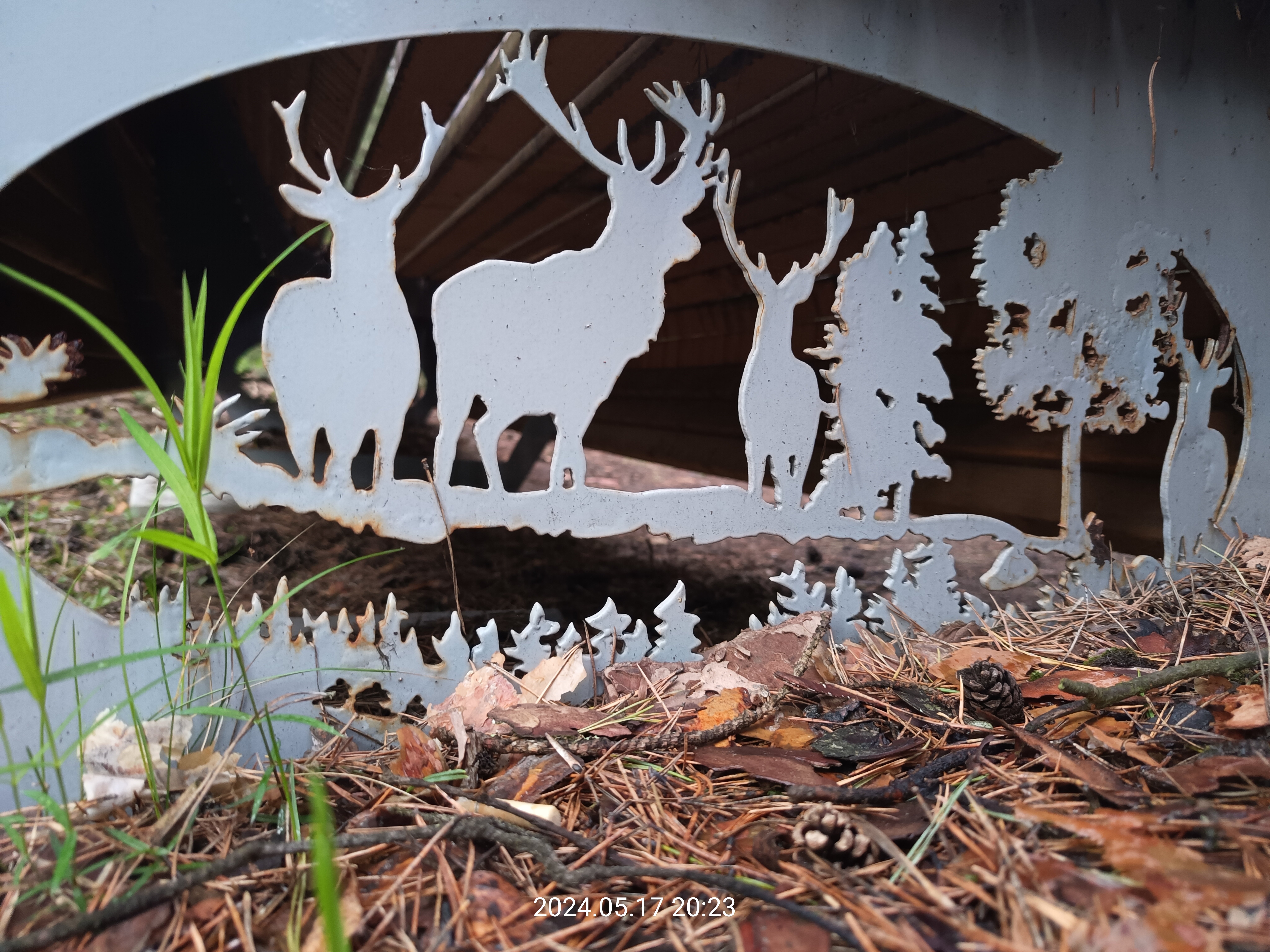 Фото Тихий Лес