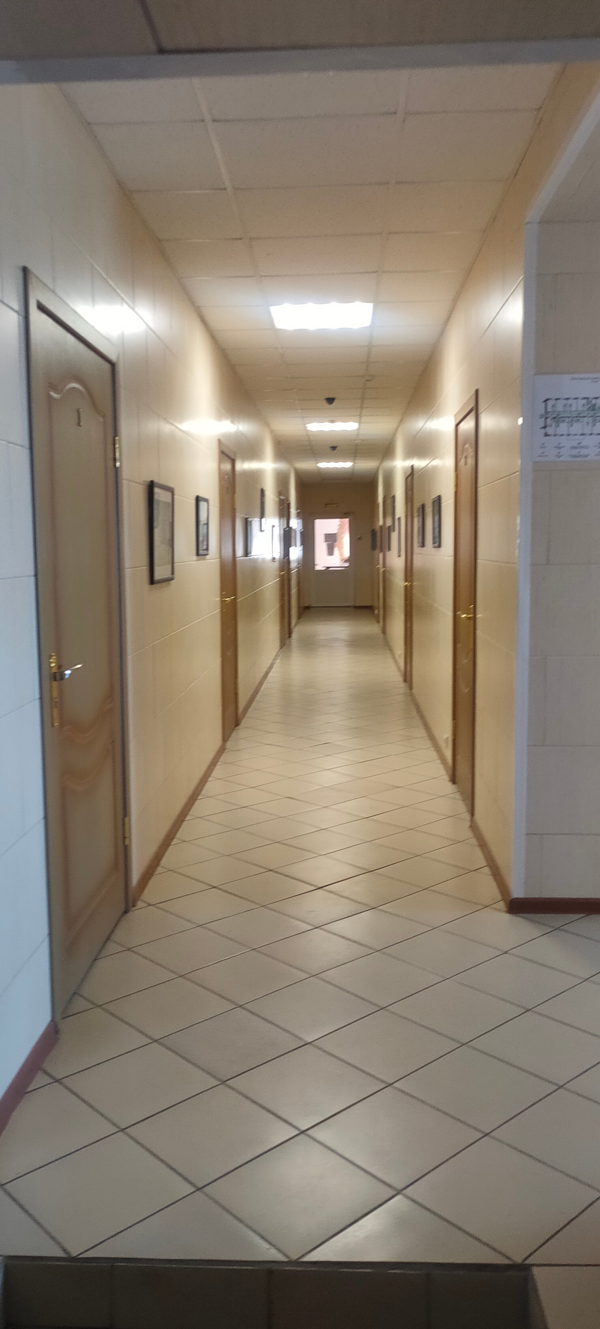 Фото РодНик