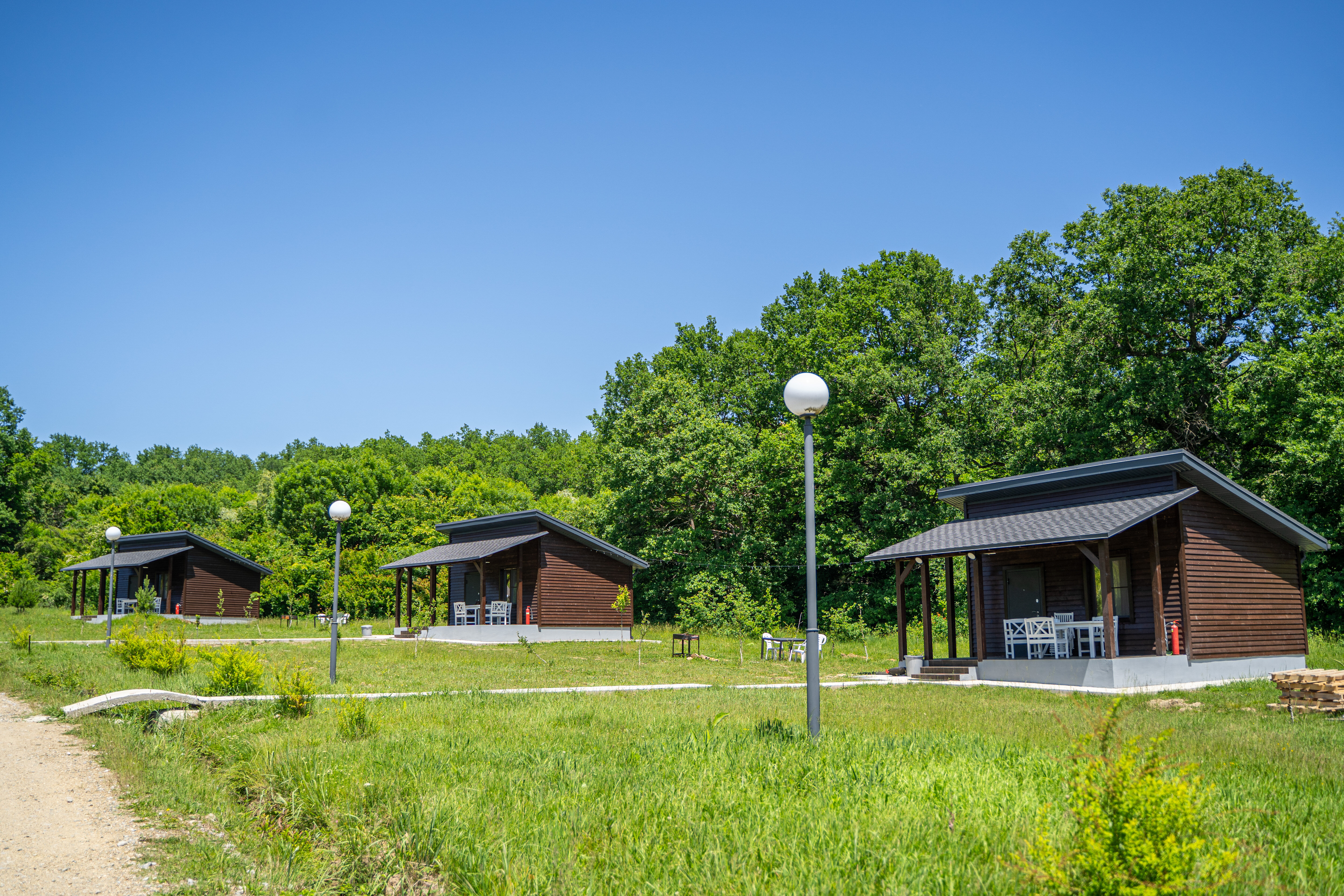 Фото Дубровский