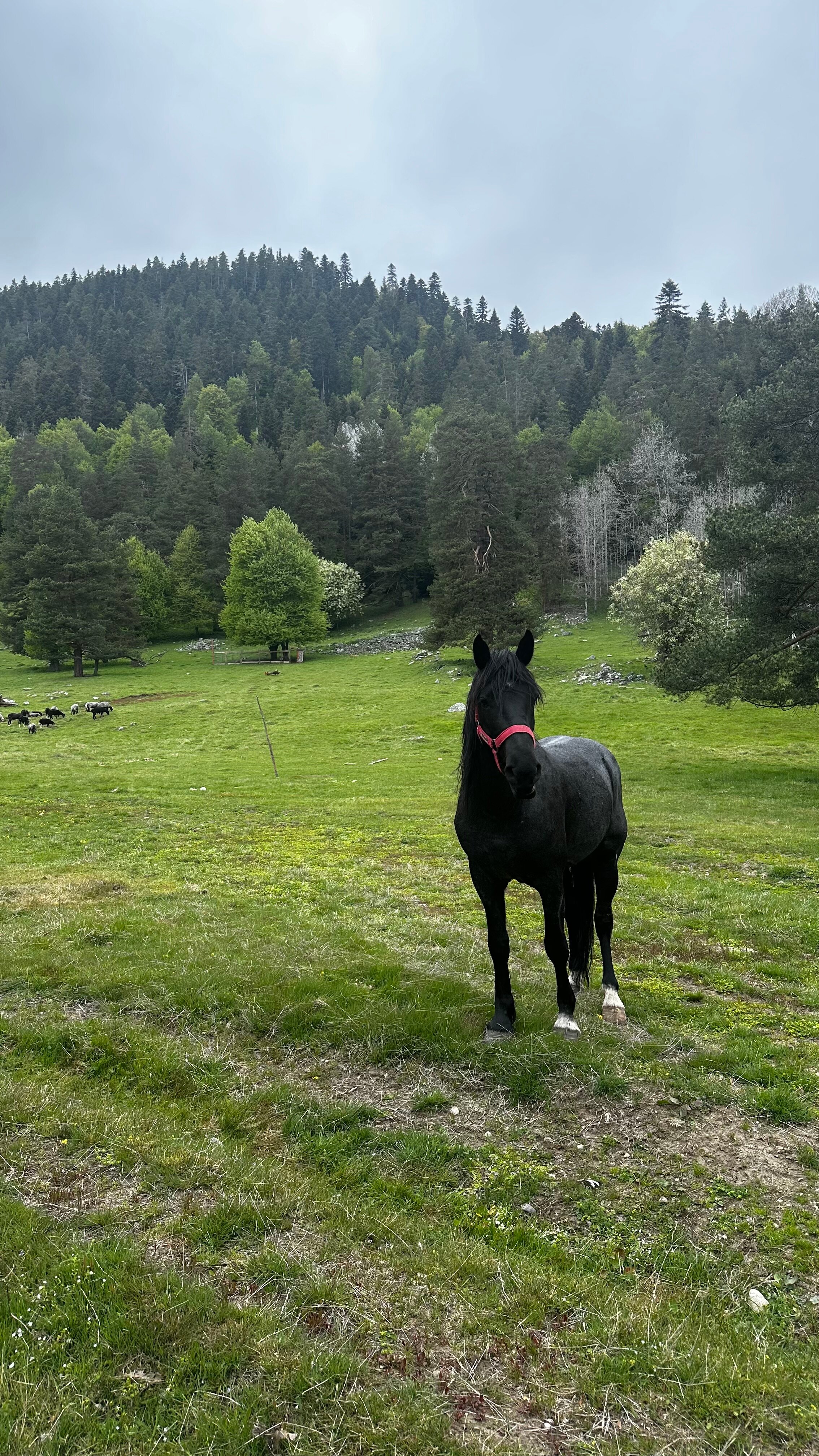 Фото Истера трэвл