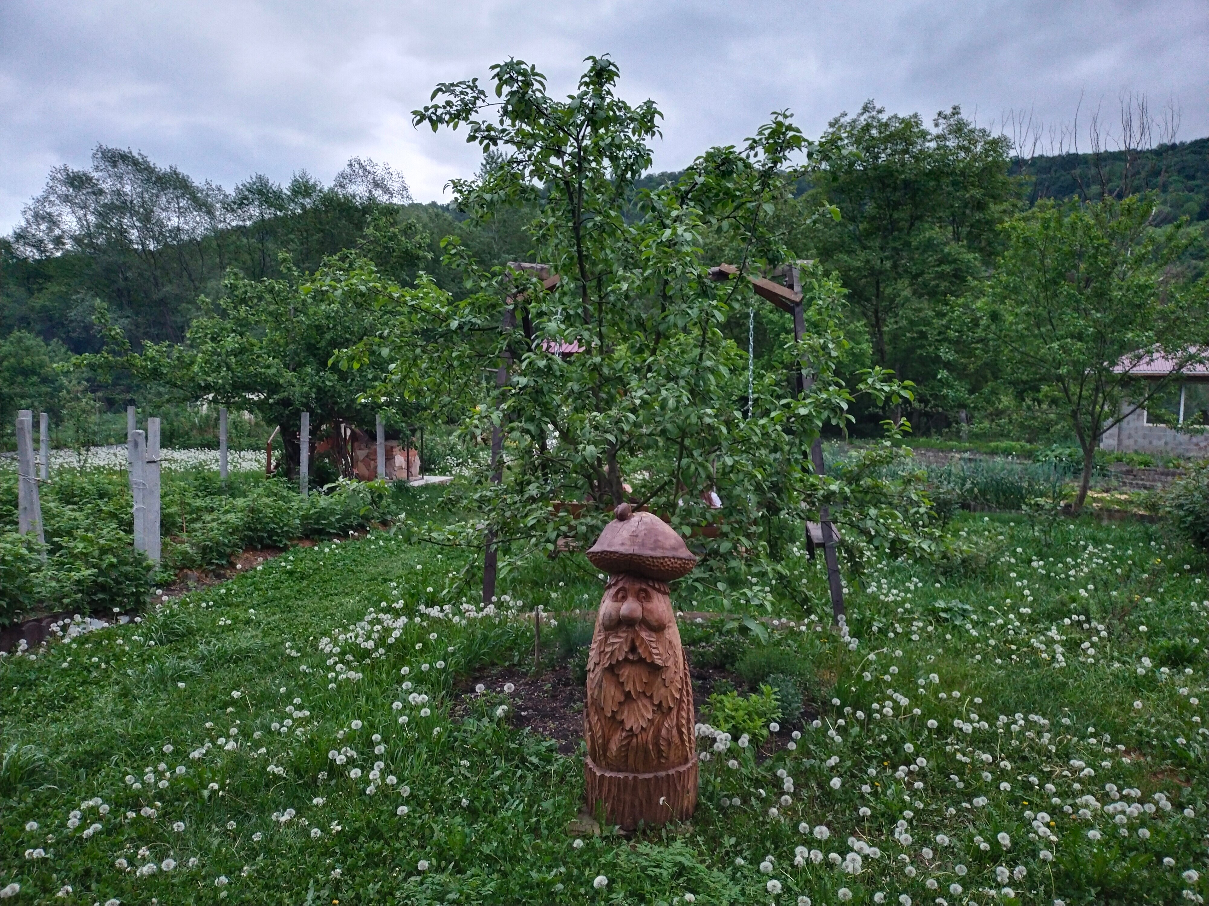 Фото Четыре сезона