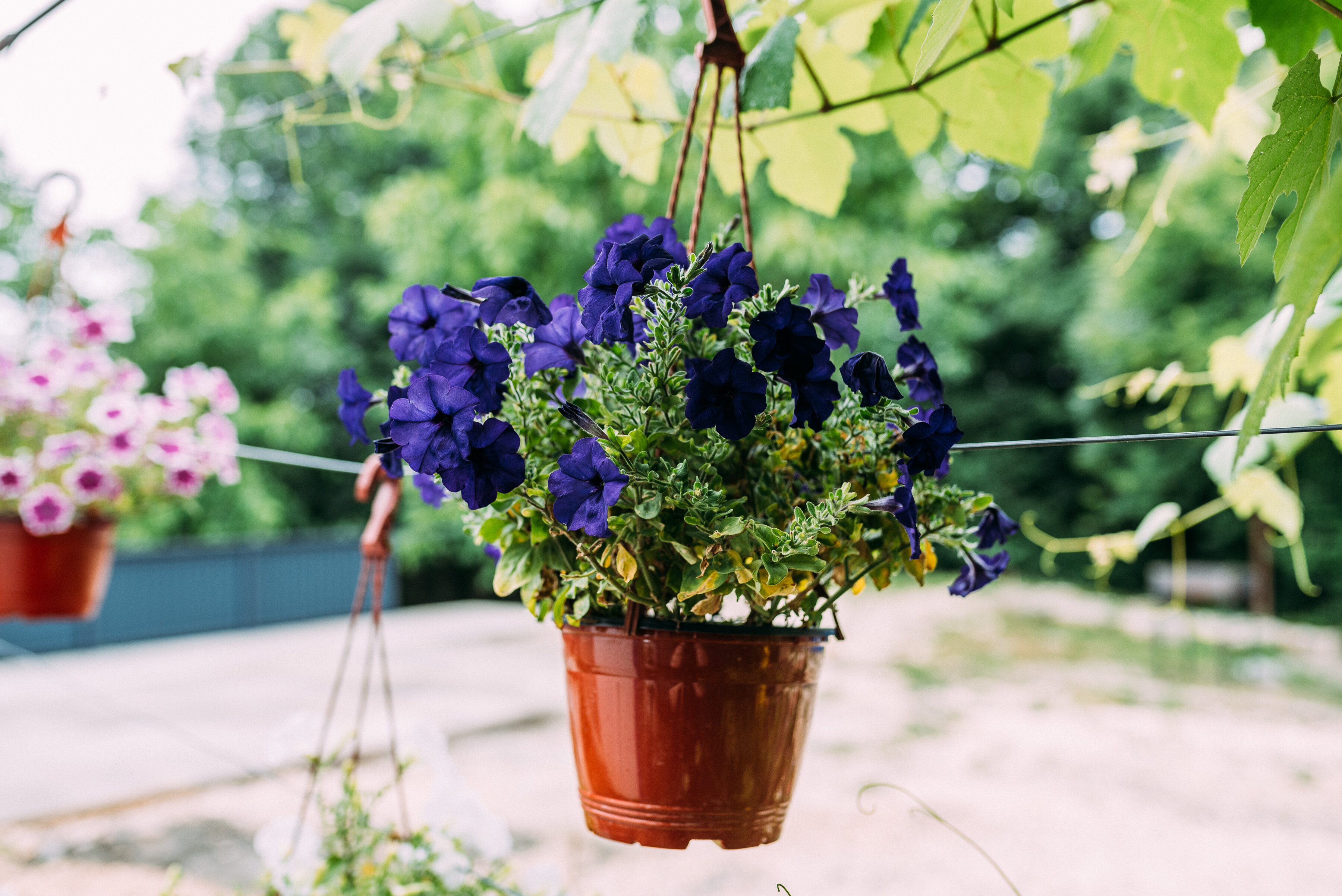 Фото Камменка