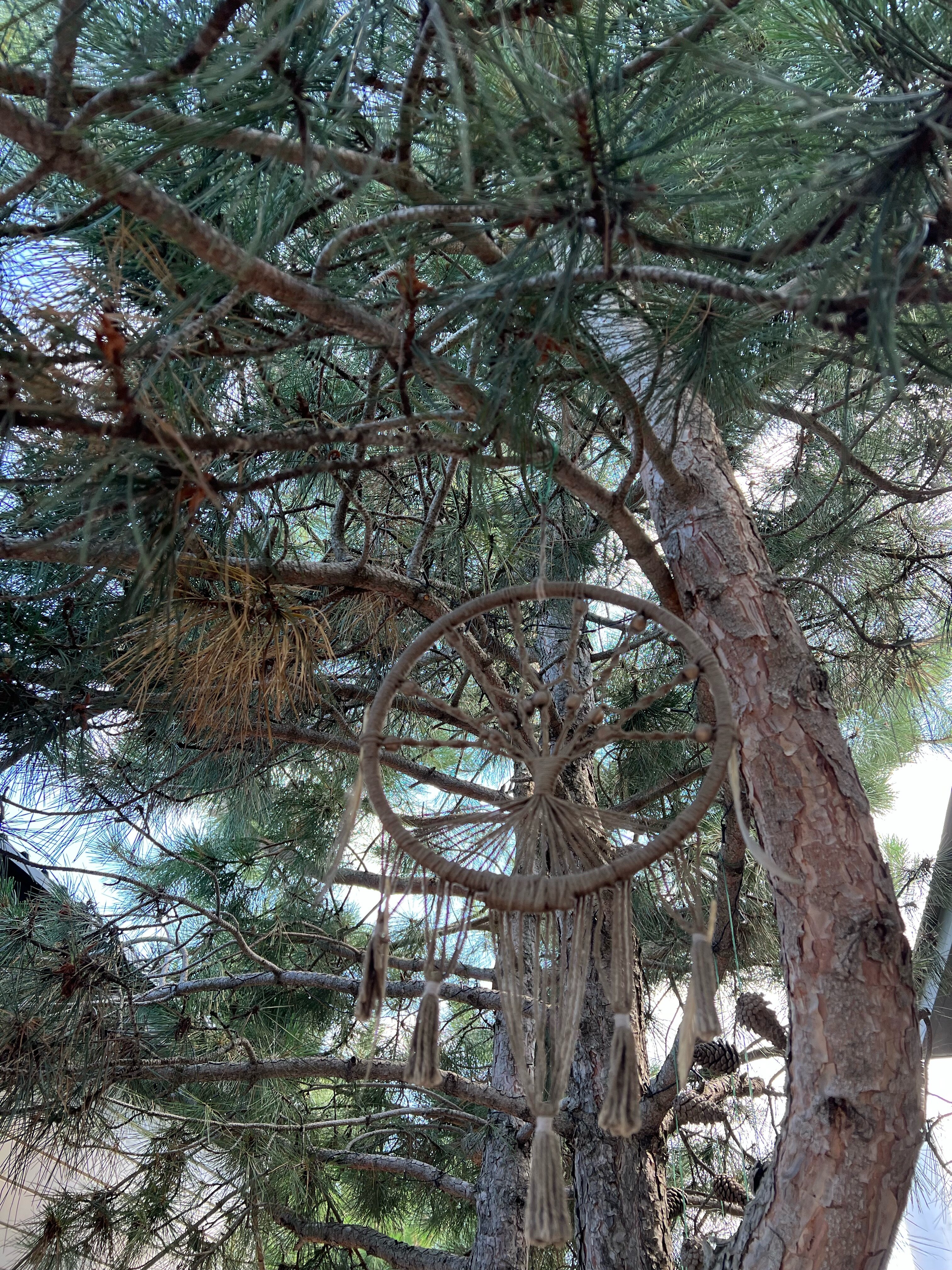 Фото ЁлкиХоум