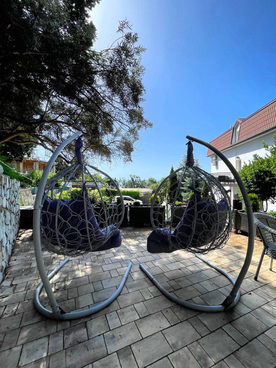 Фото Южный Кедр