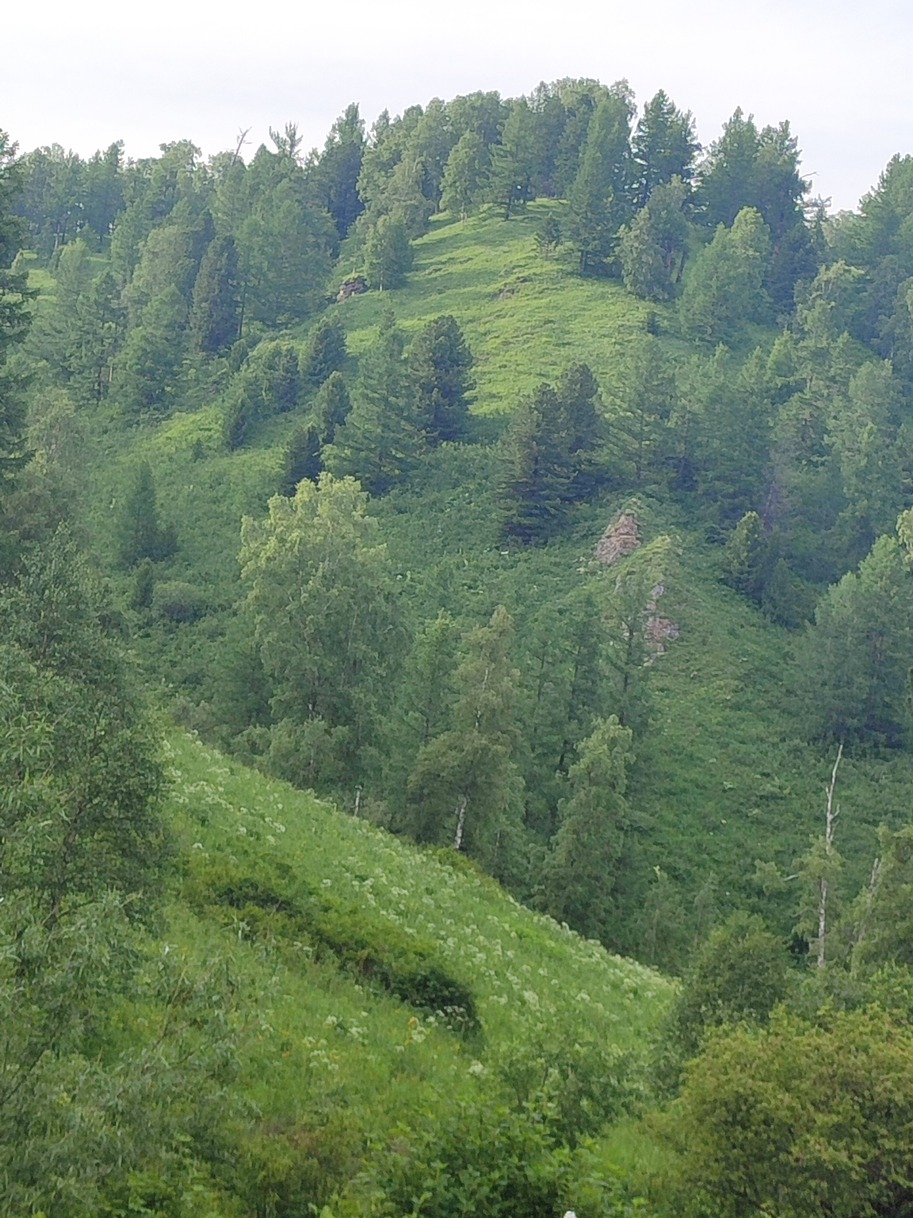 Фото Усадьба Теремок
