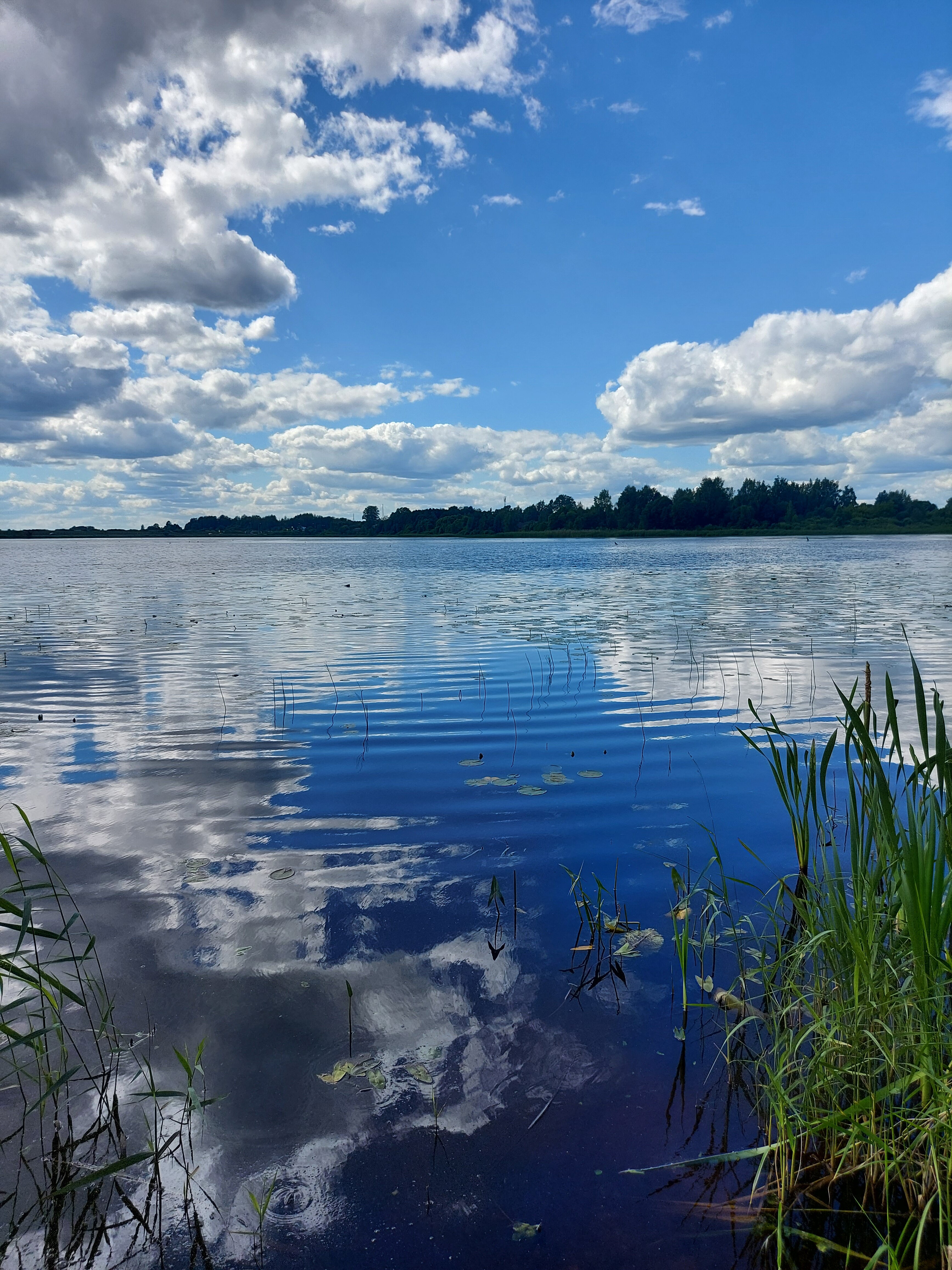 Фото Барин приехал