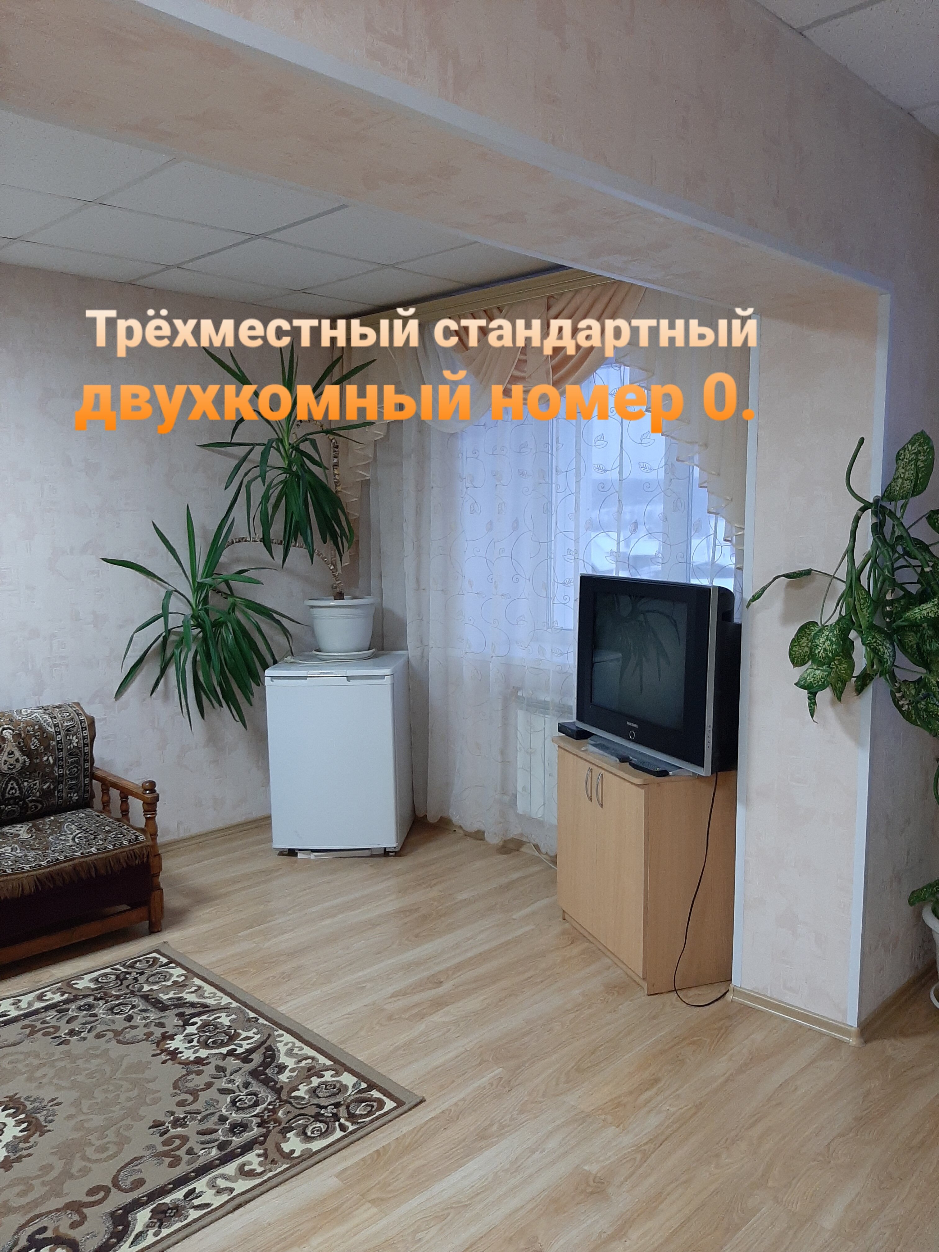 Фото Колибри