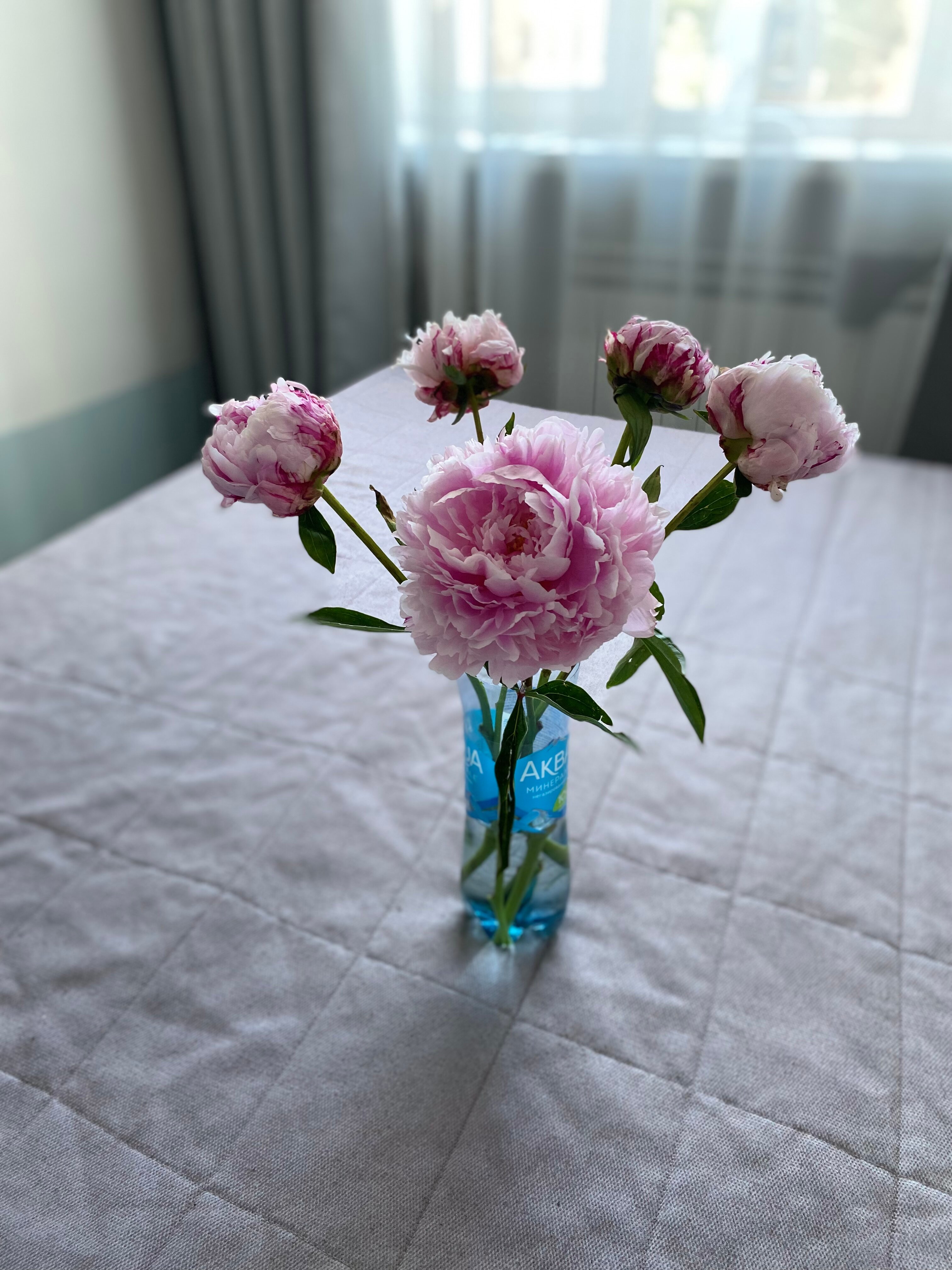 Фото Респекталь М27