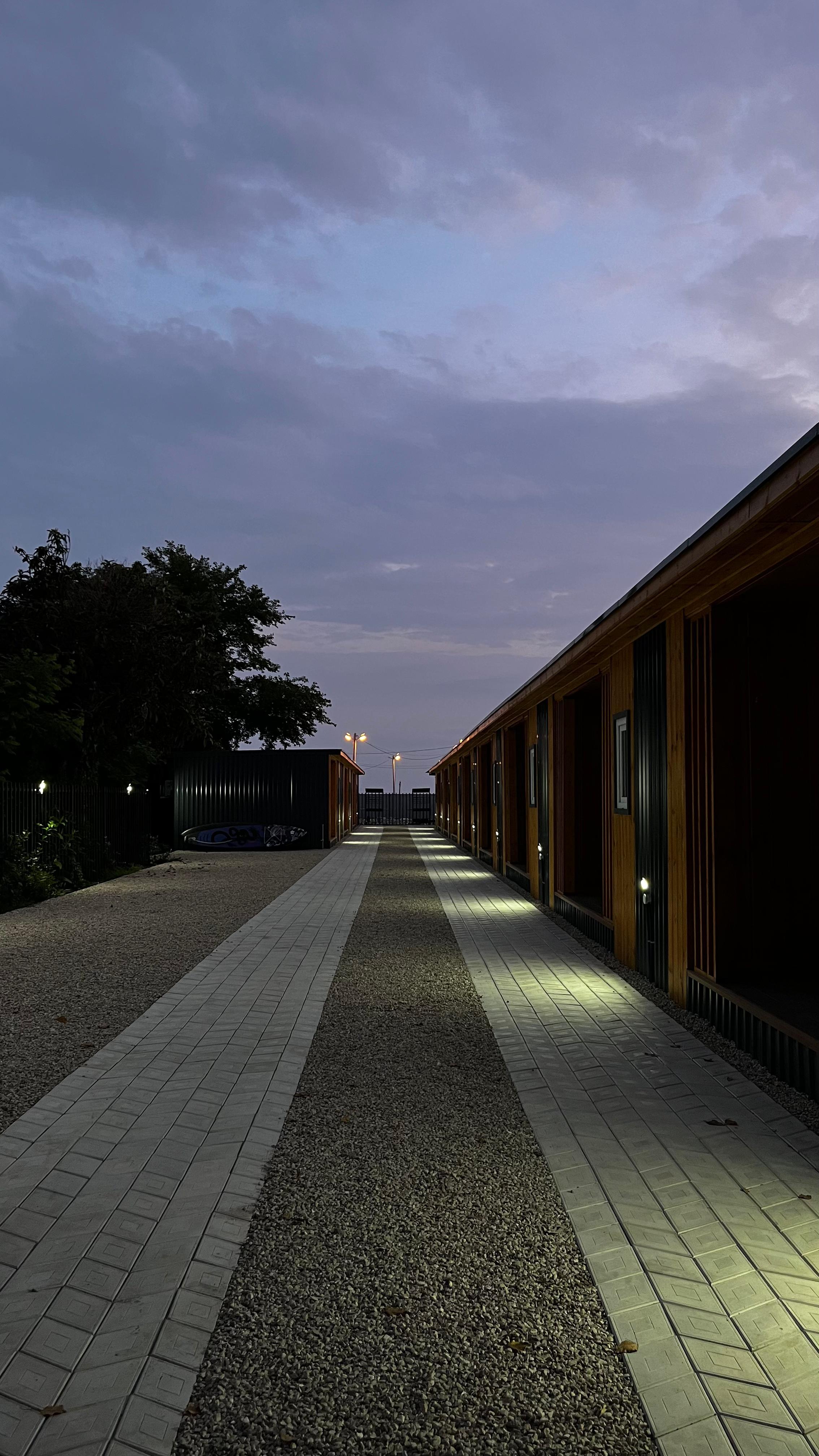 Фото Dионис