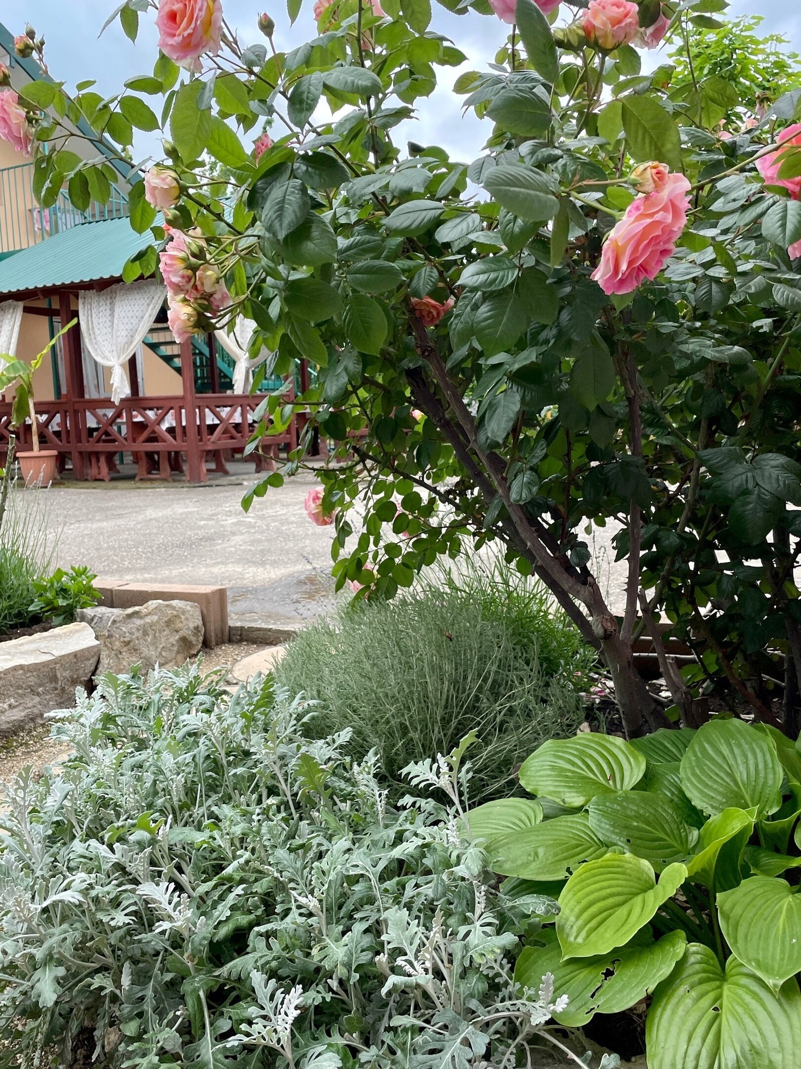 Фото Фортуна