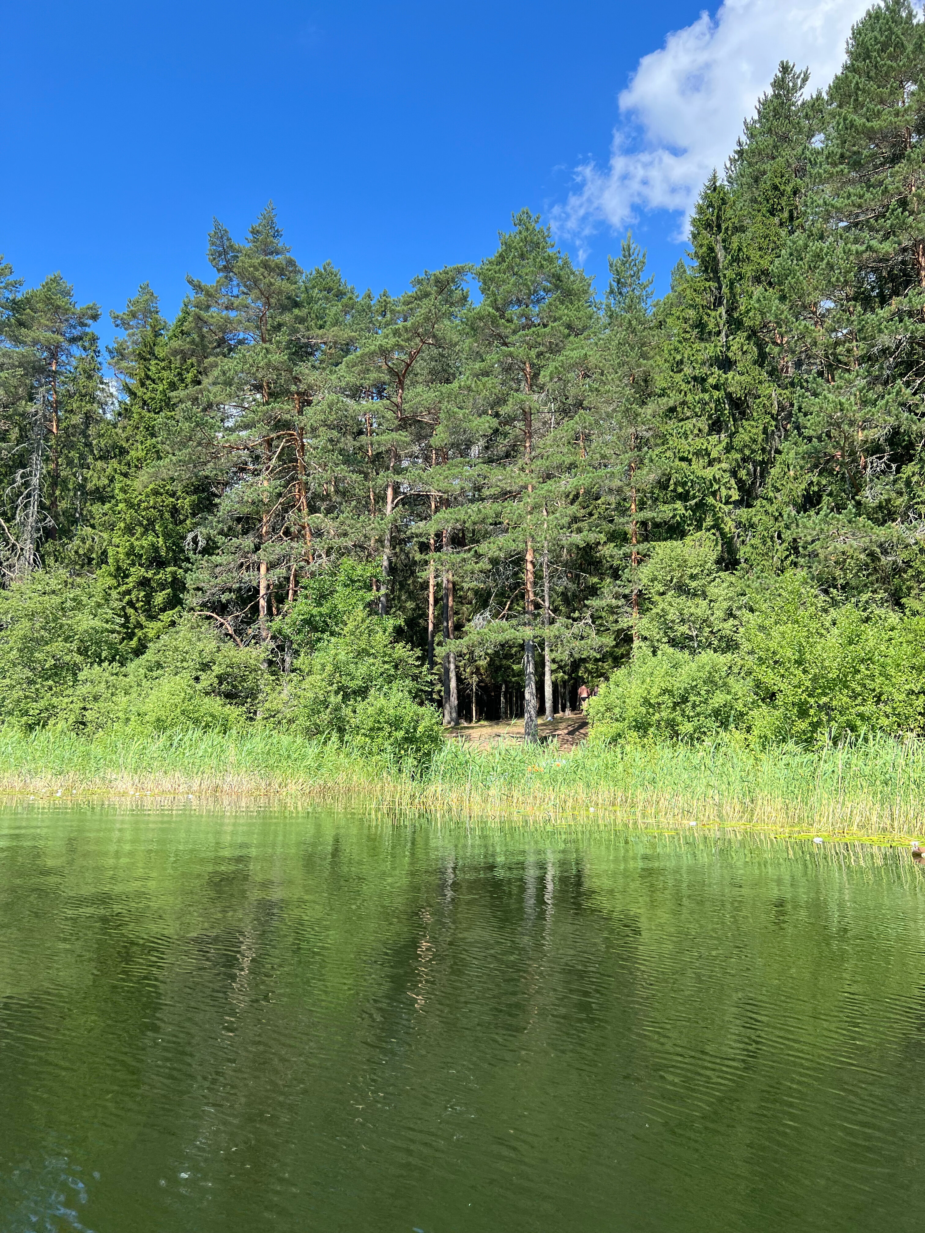 Фото Носороги