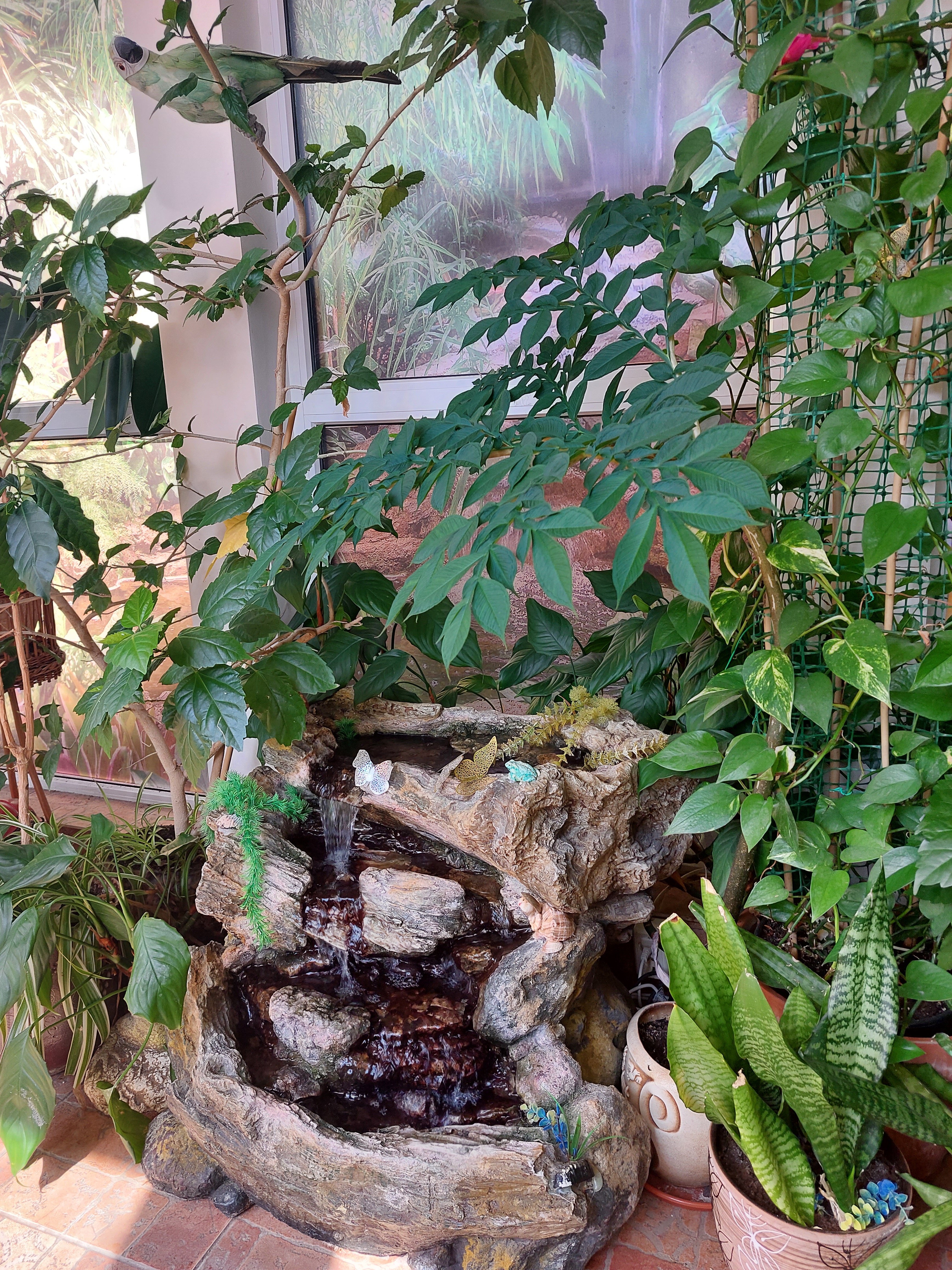 Фото Натали