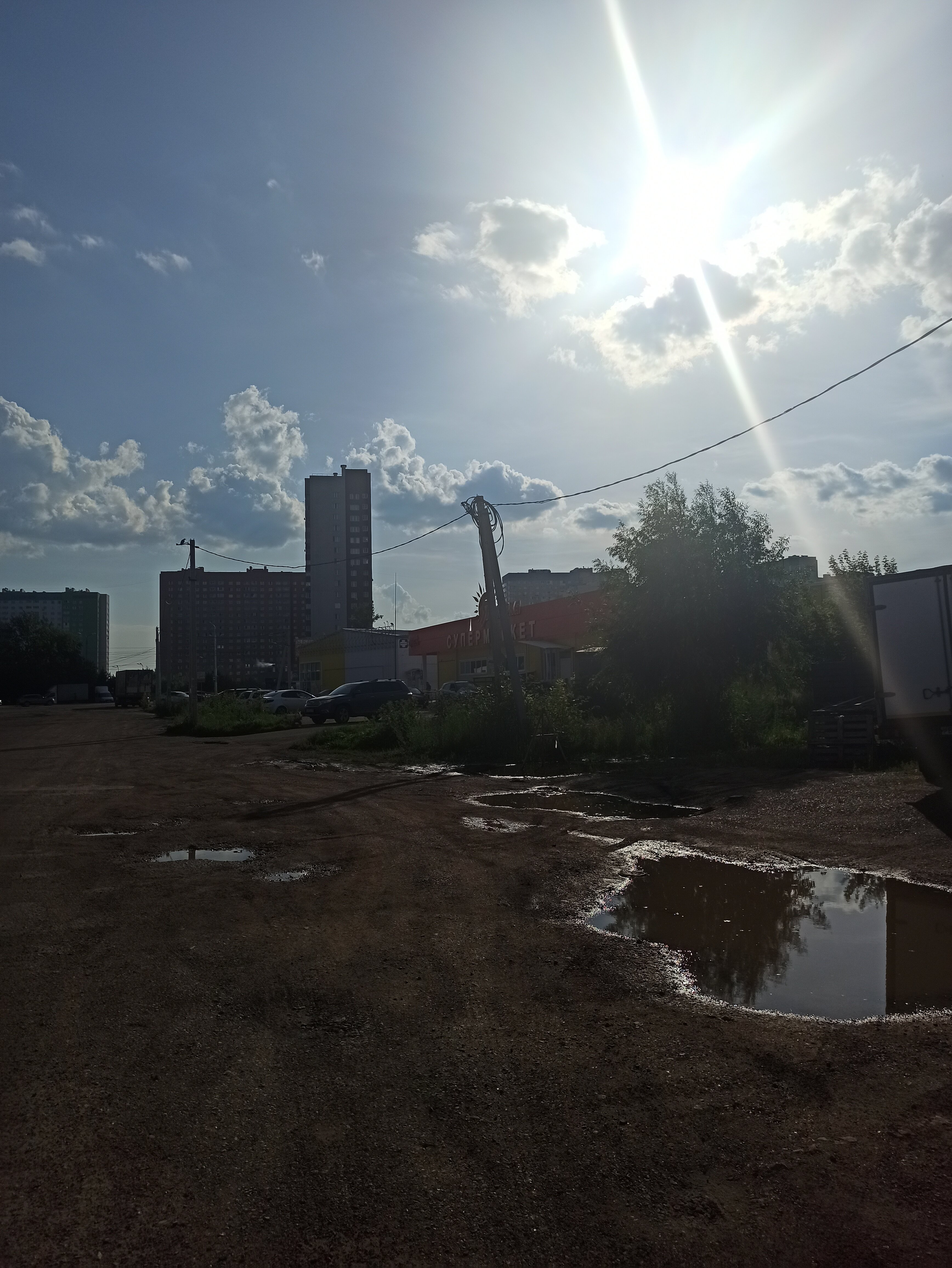 Фото Аристократ