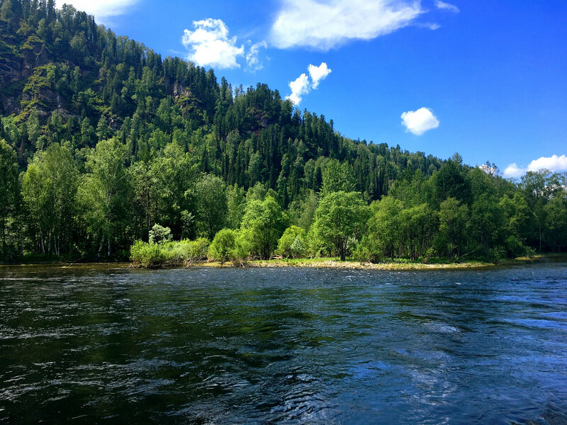 Фото Солнечная