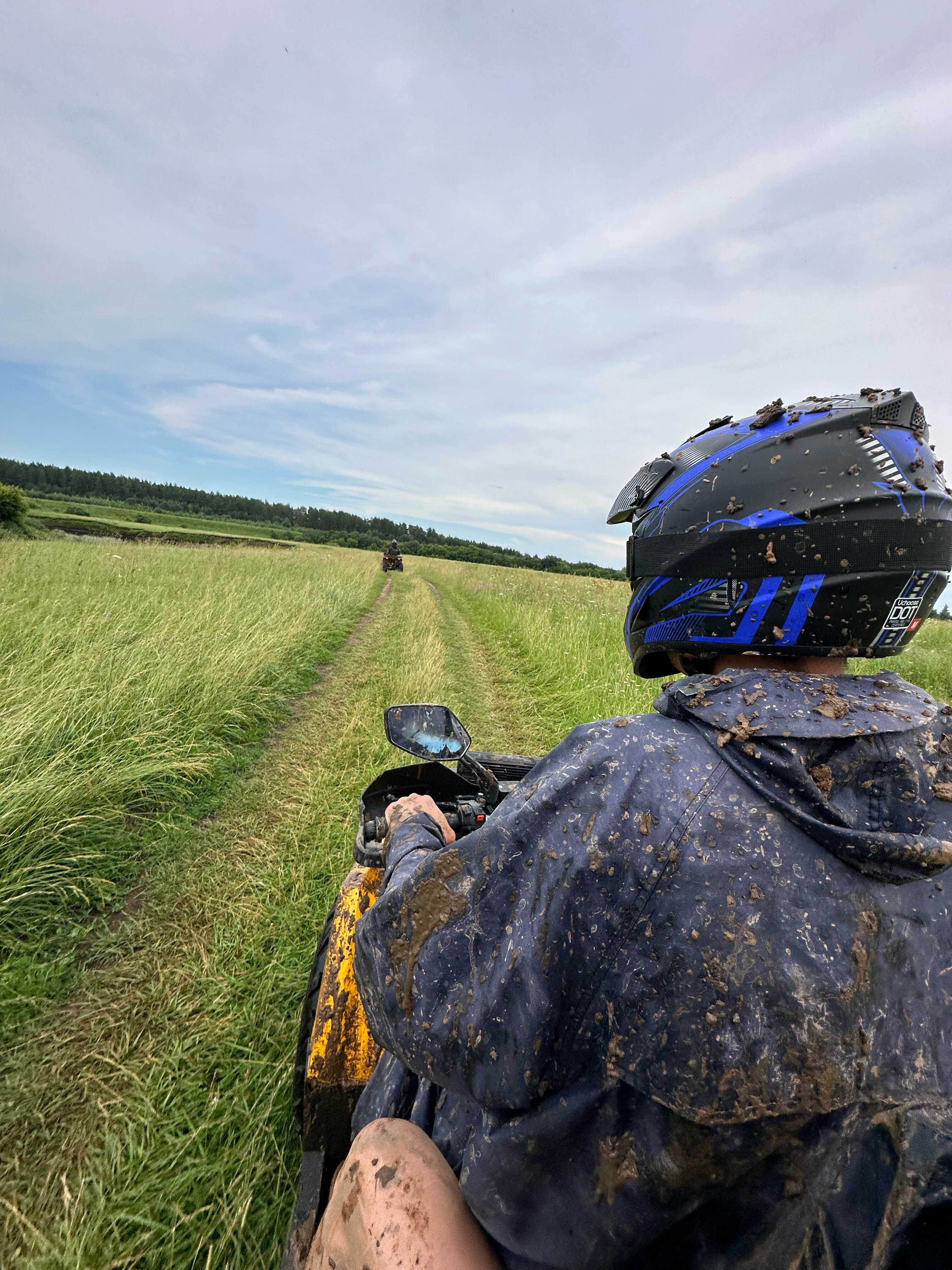 Фото Шепот Леса