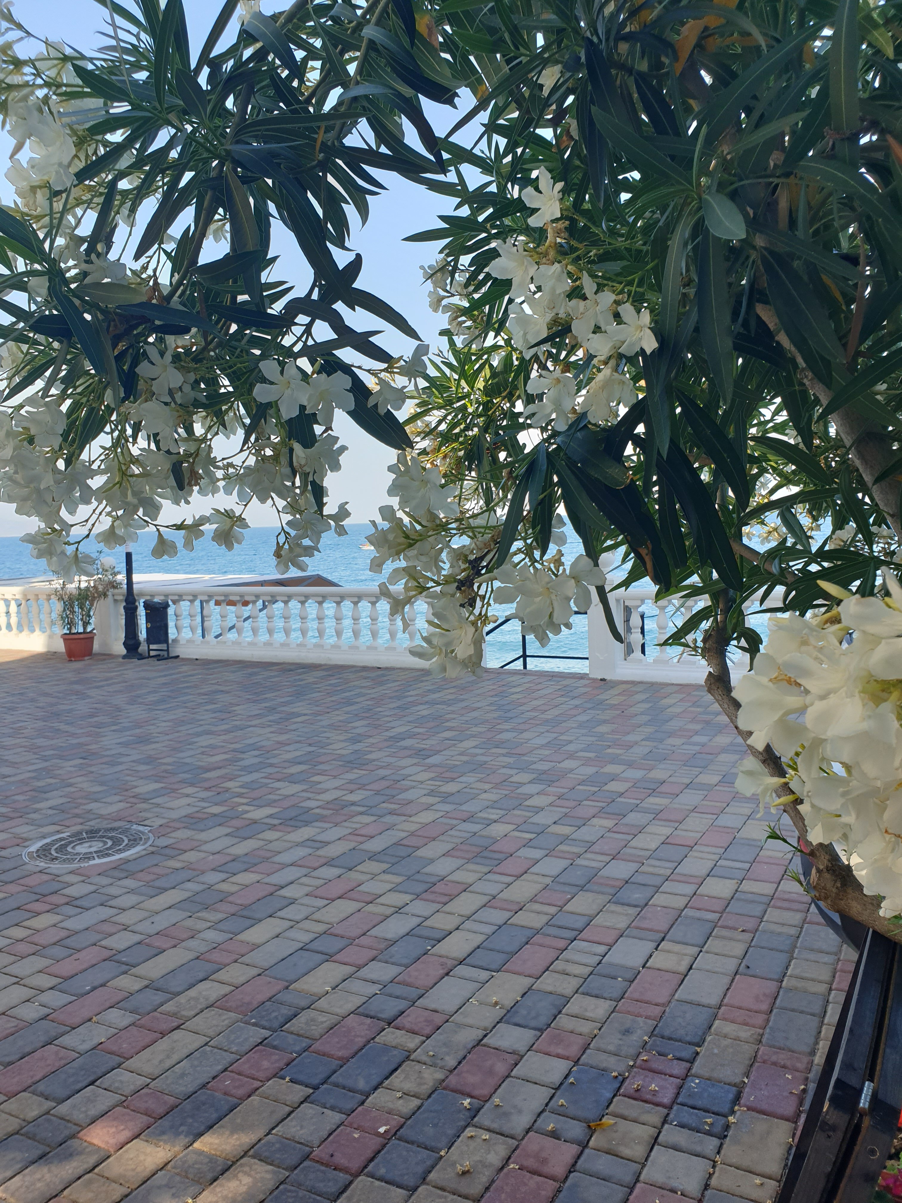 Фото Прибой