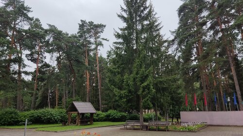 Гостиница Физкультурно-спортивная база ФПБ в Ждановичах