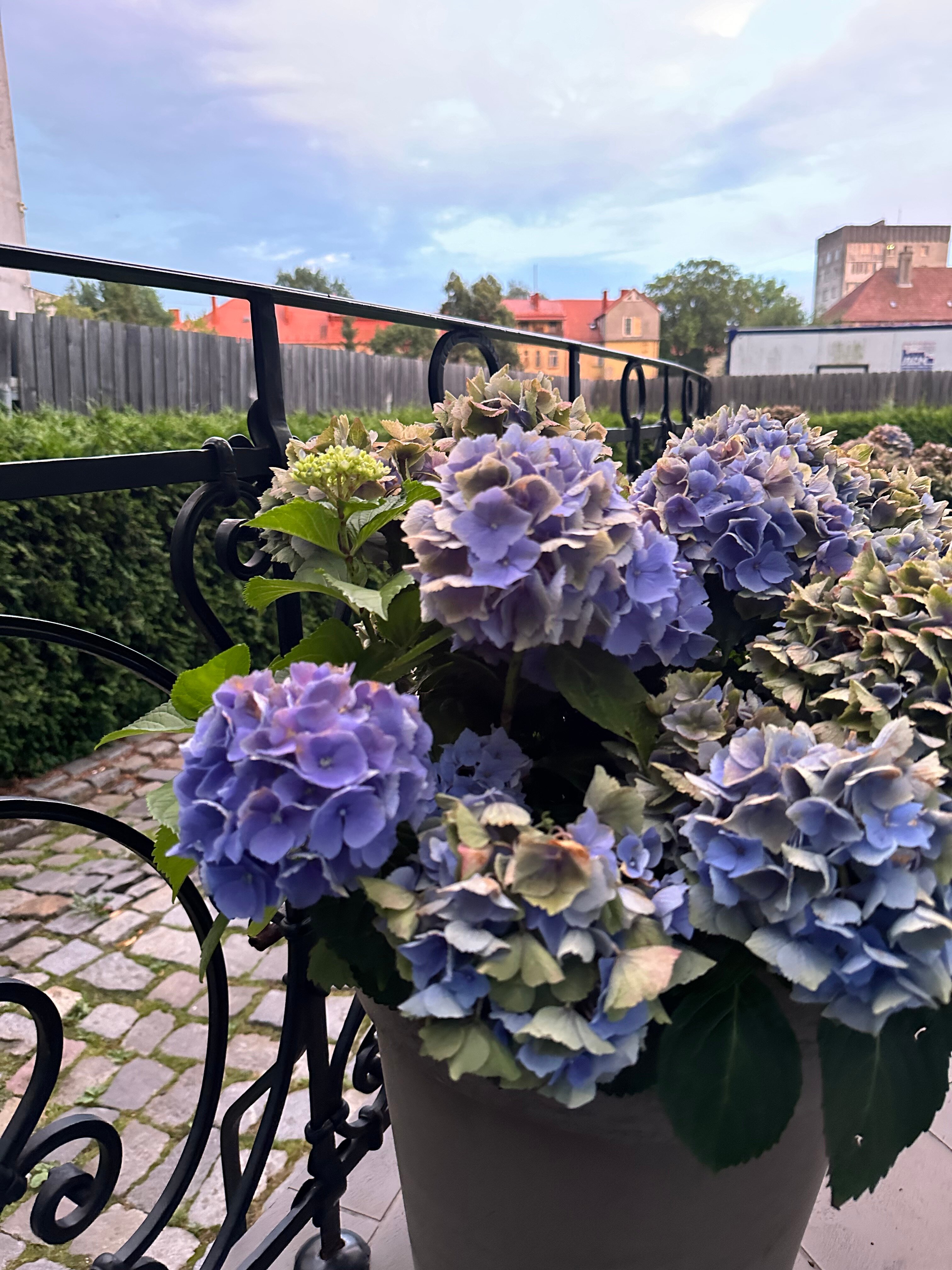 Фото Чайковский