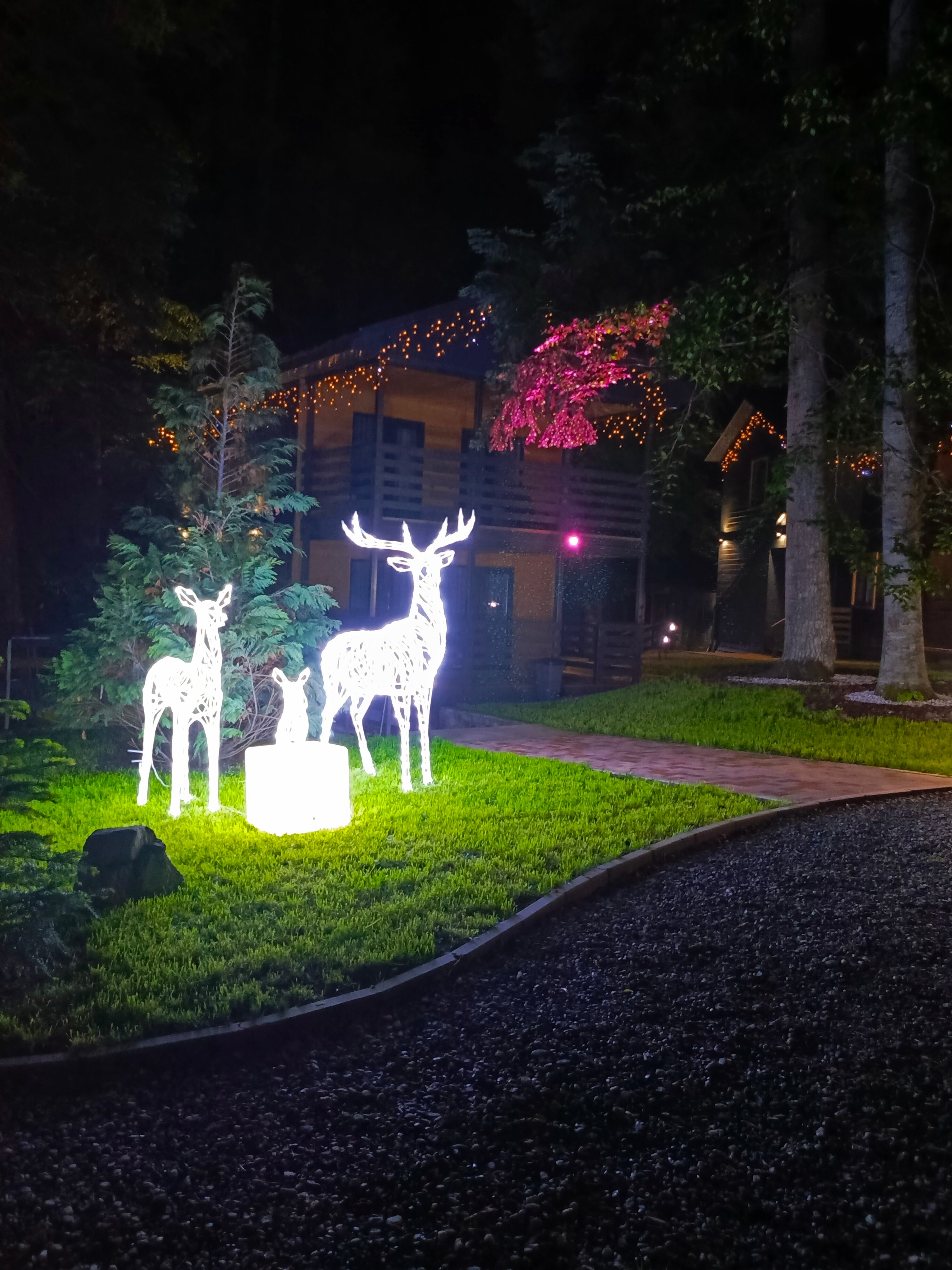 Фото Архыз Фемили Клаб