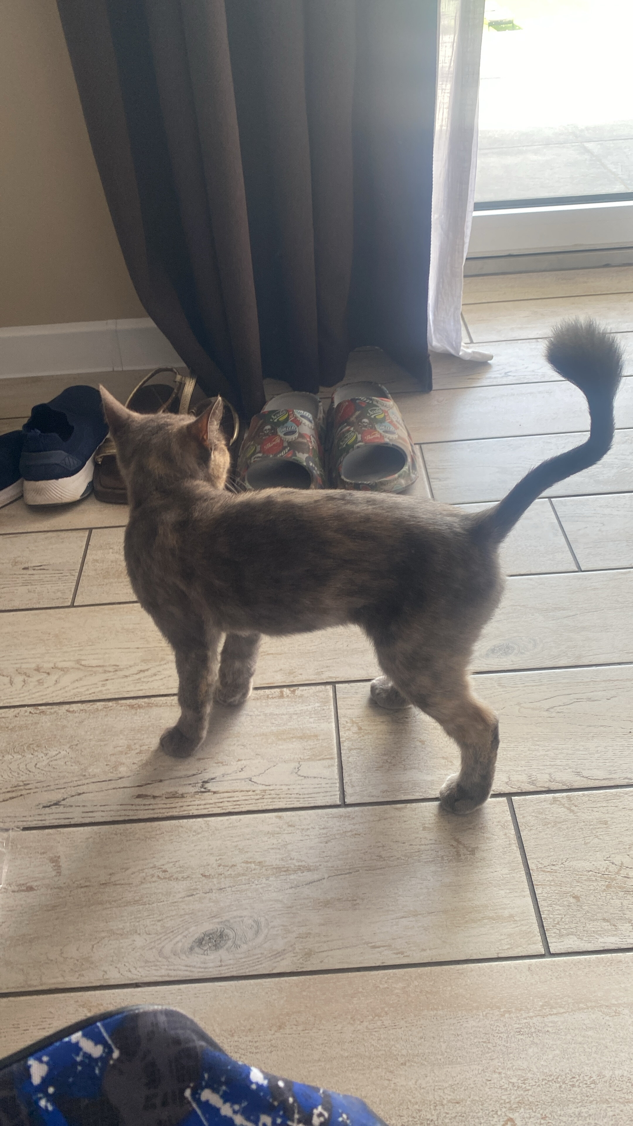 Фото МоеЛето