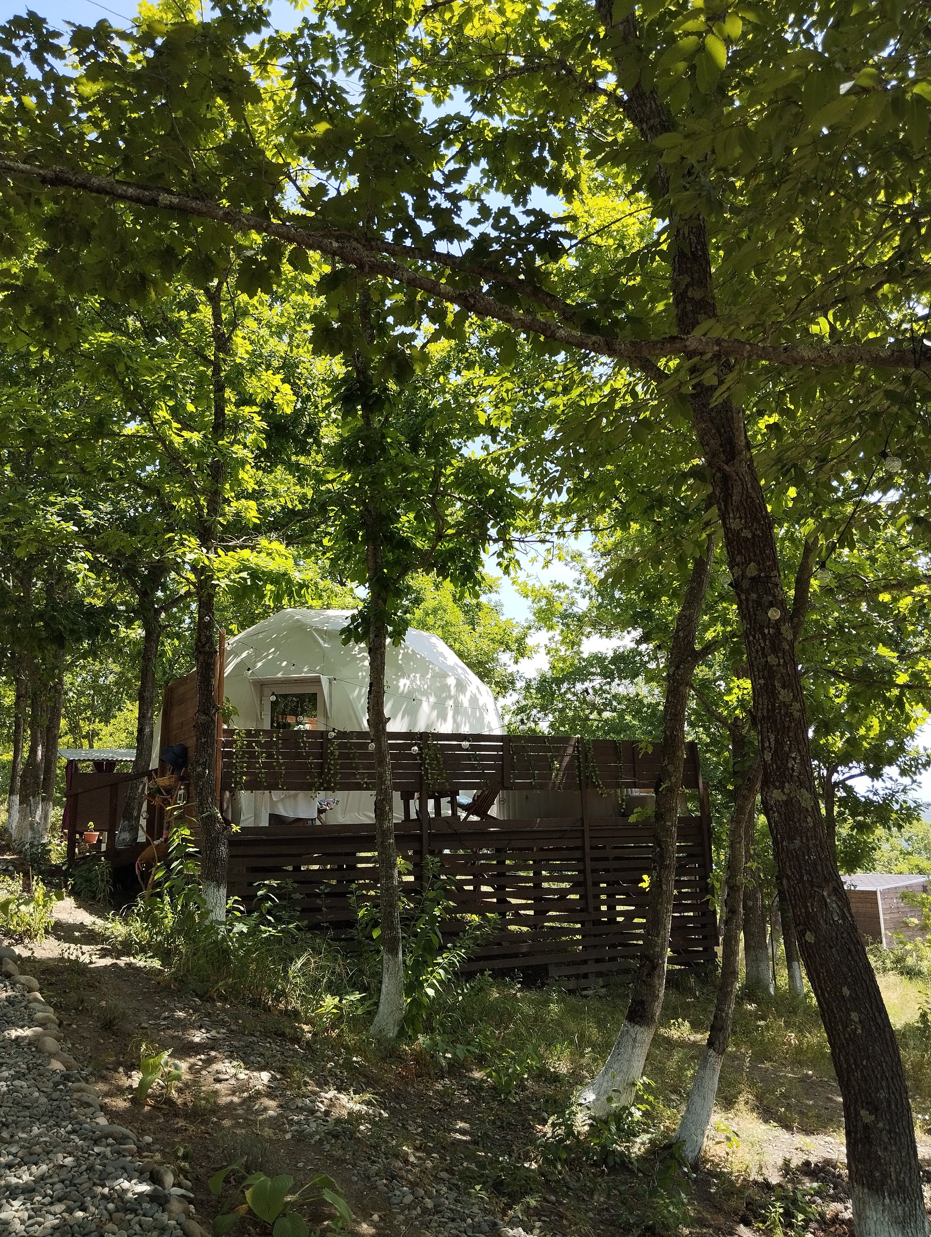 Фото Солнечный Склон