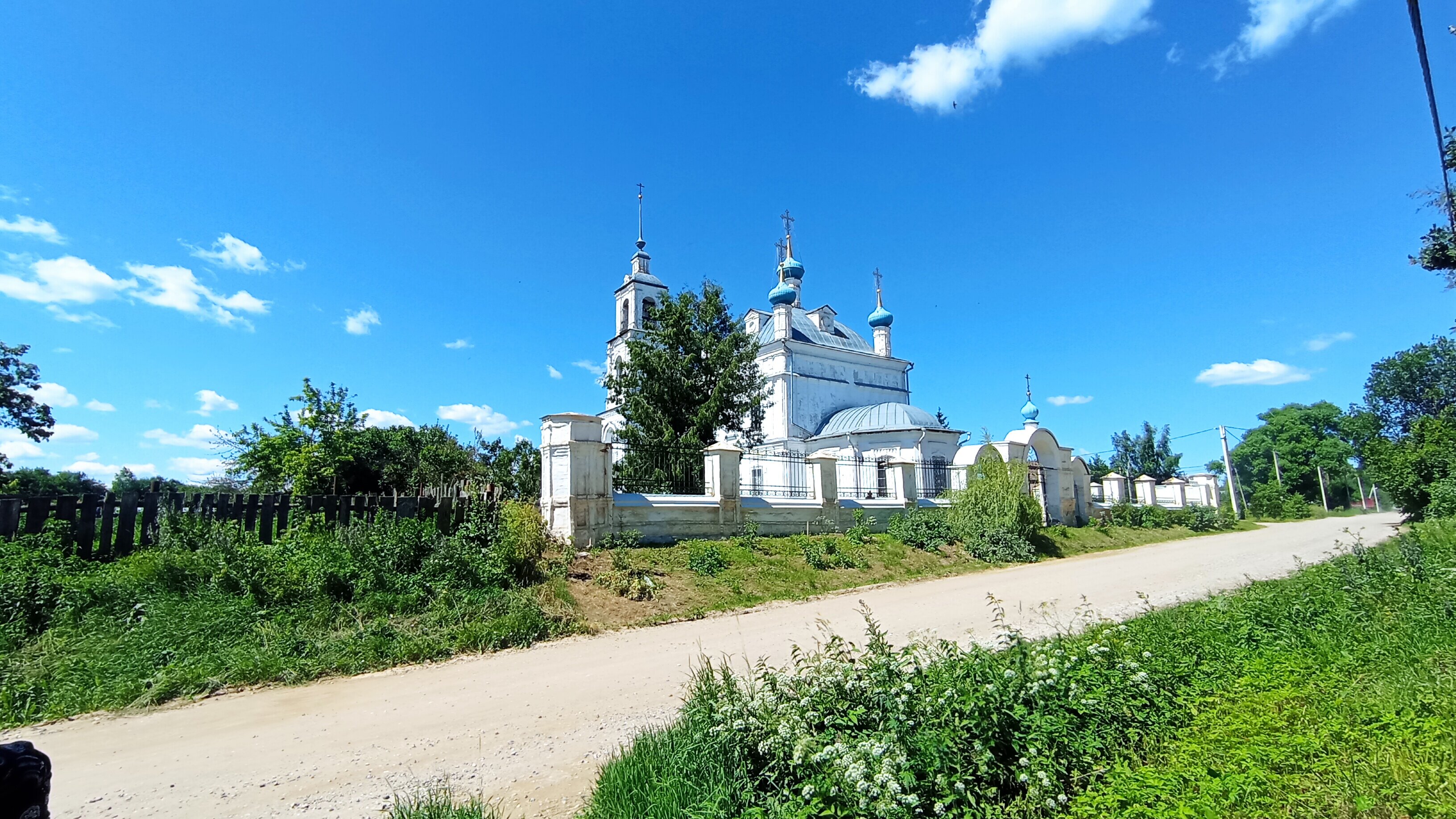 Фото Орхидея