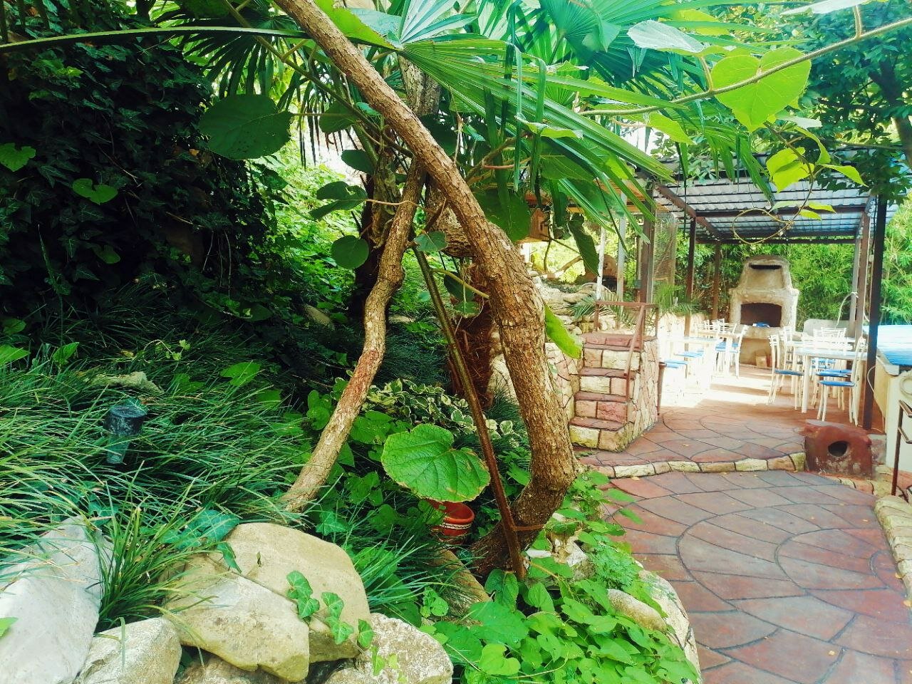 Фото Весна 6