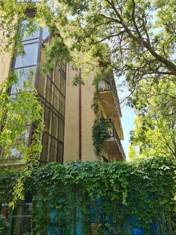 Фото Каменка