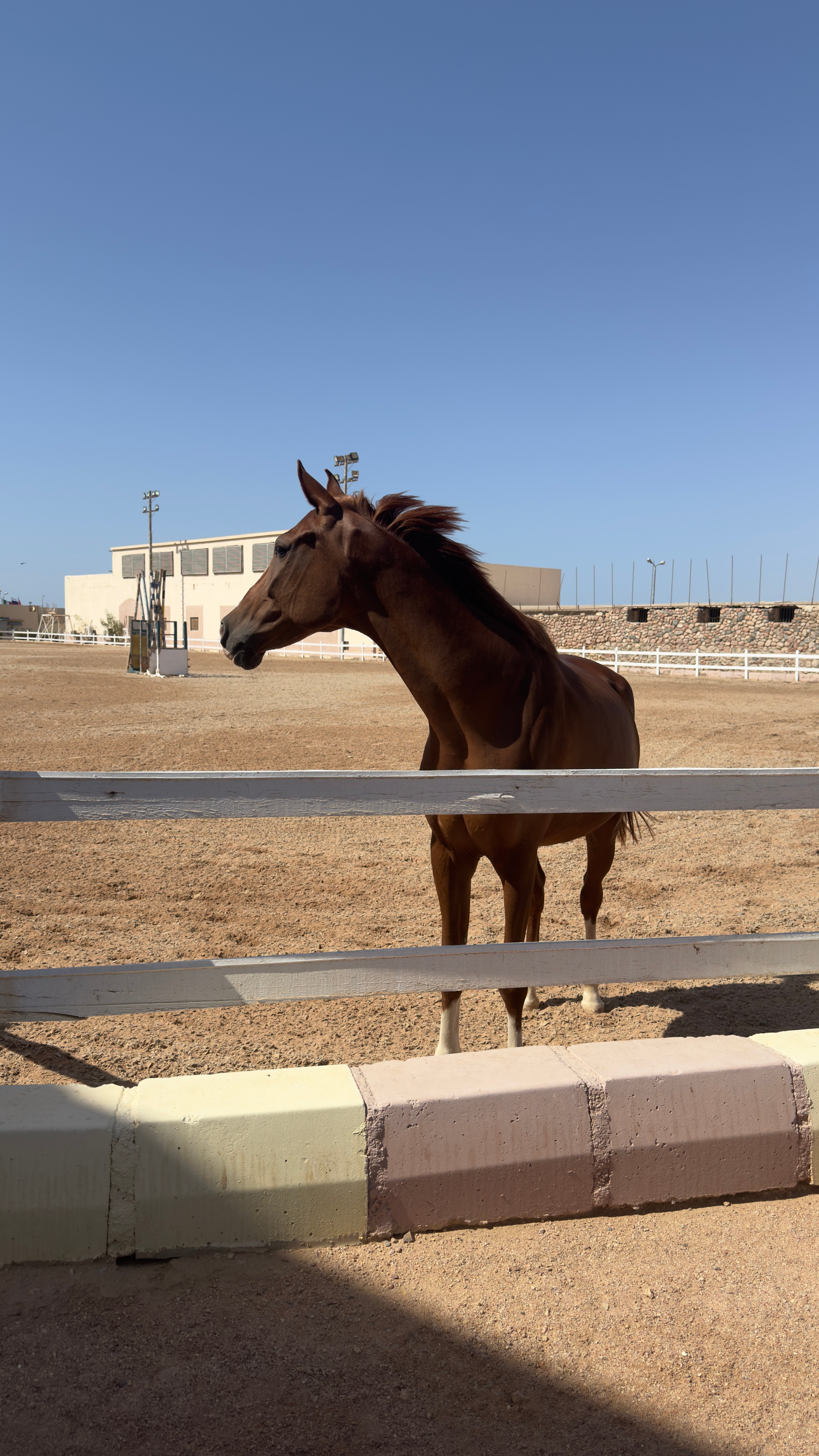 Фото Concorde El Salam Sharm El Sheikh Front Hotel