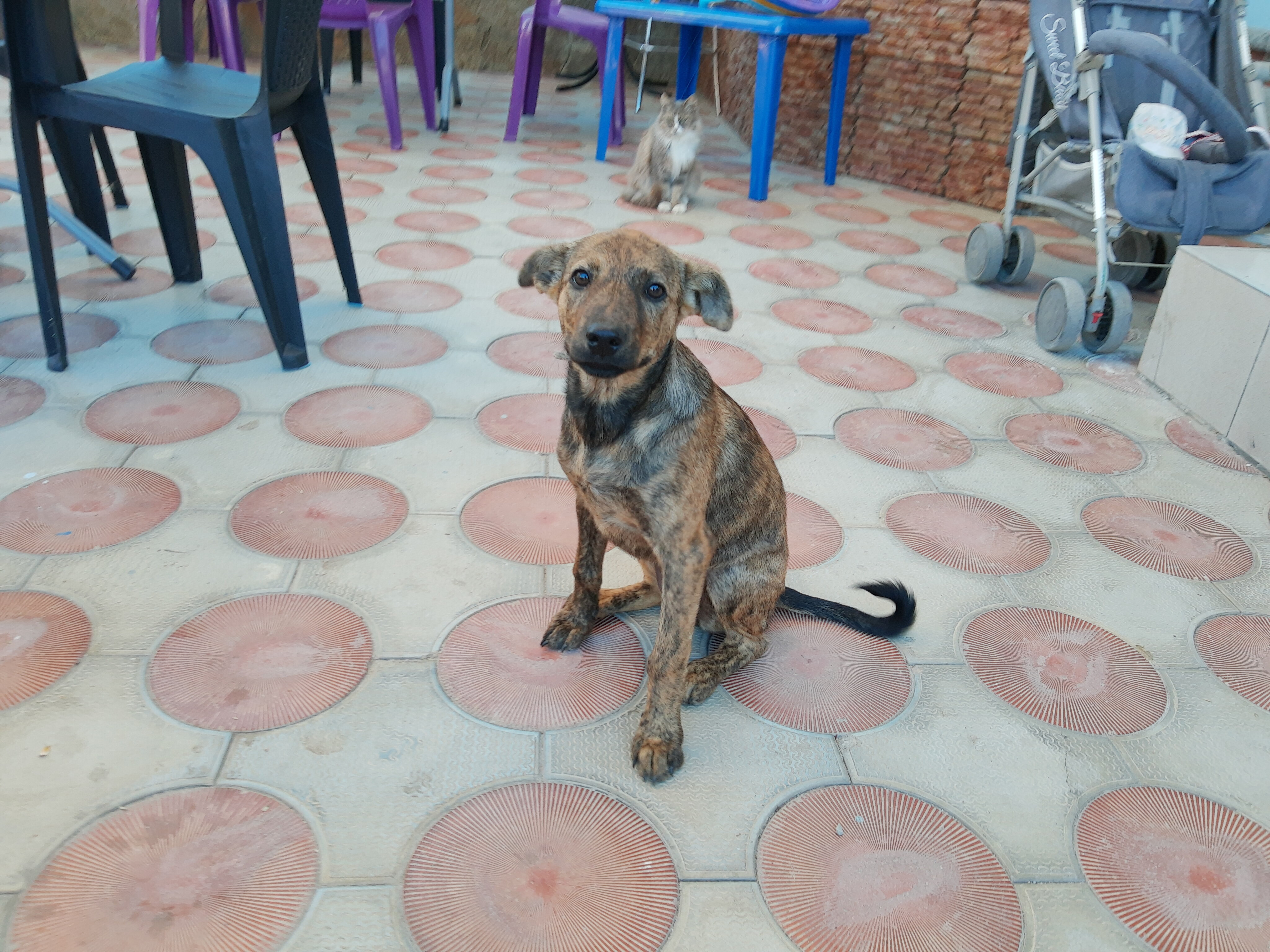 Фото Южный Бриз