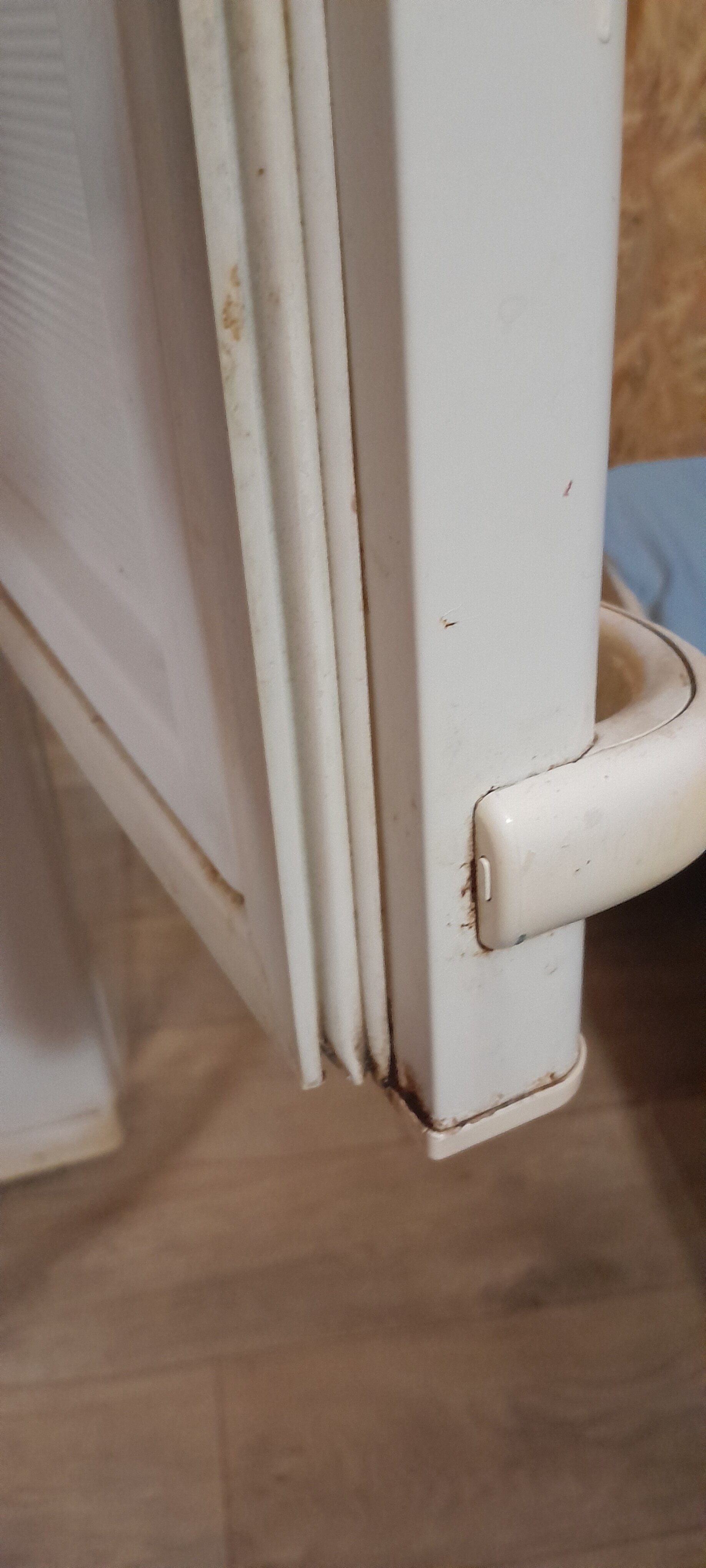 Фото Морская