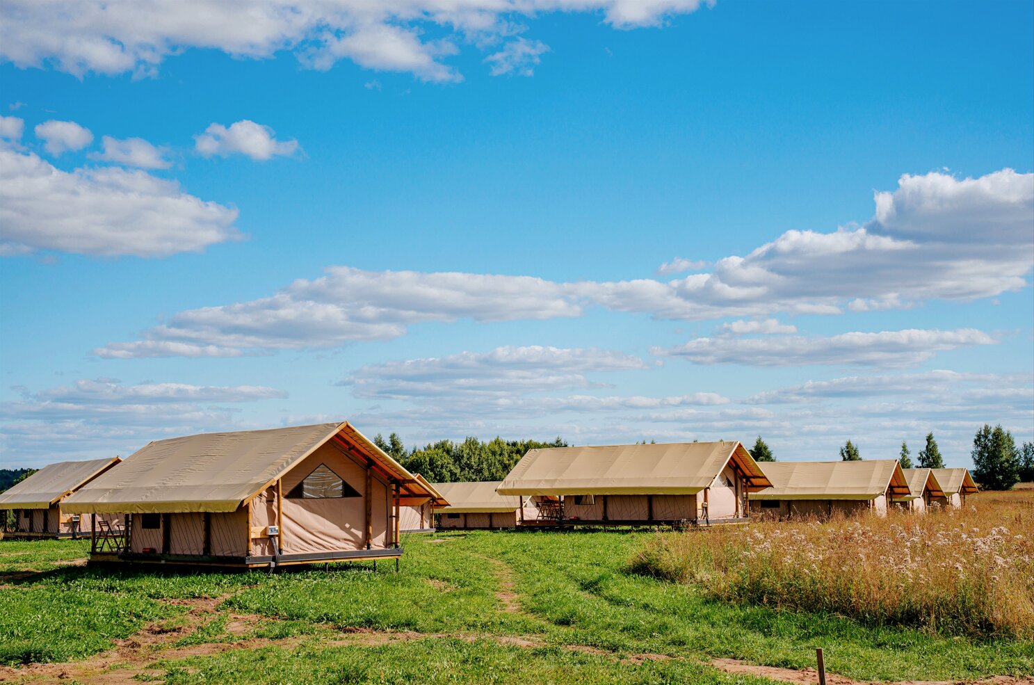 Фото Носороги