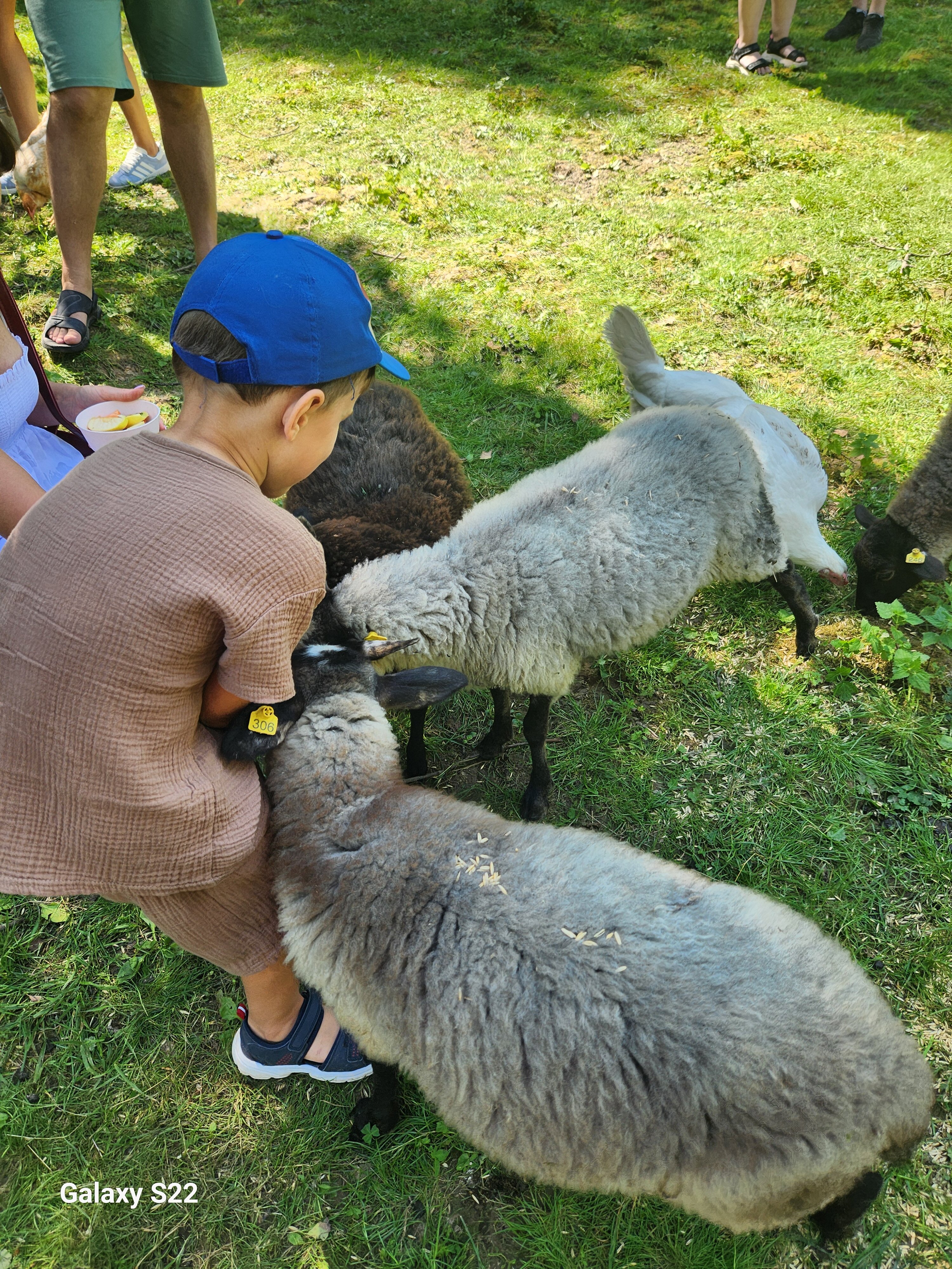 Фото Бэмби Лэнд