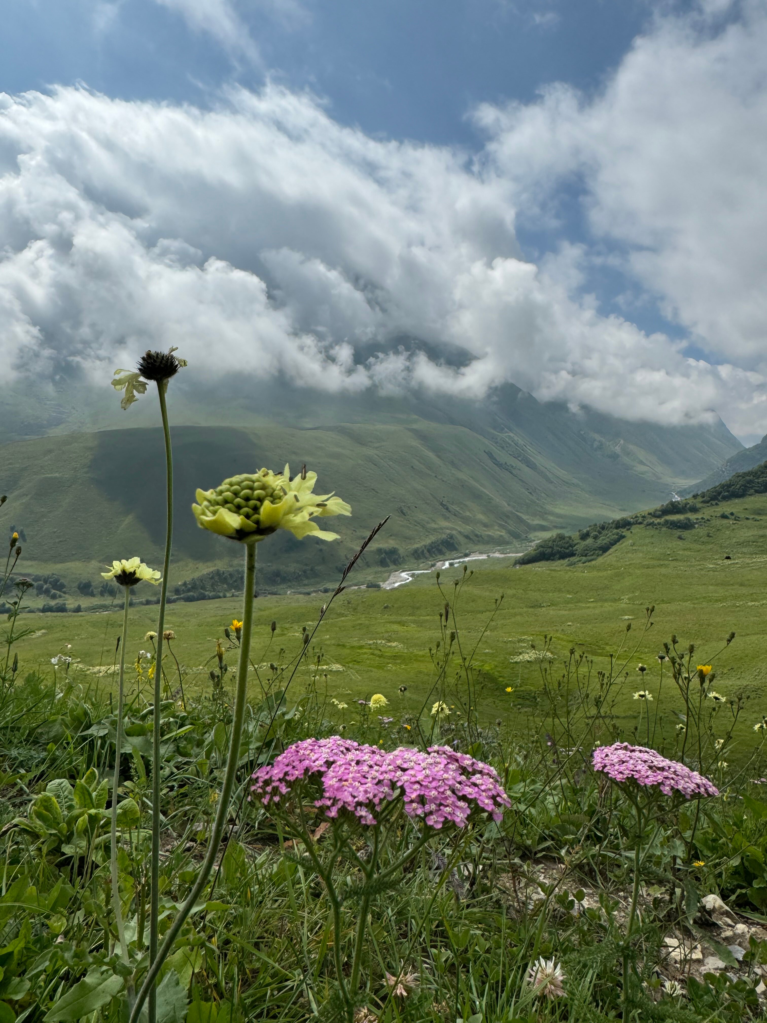 Фото Балкария-Фрэйм