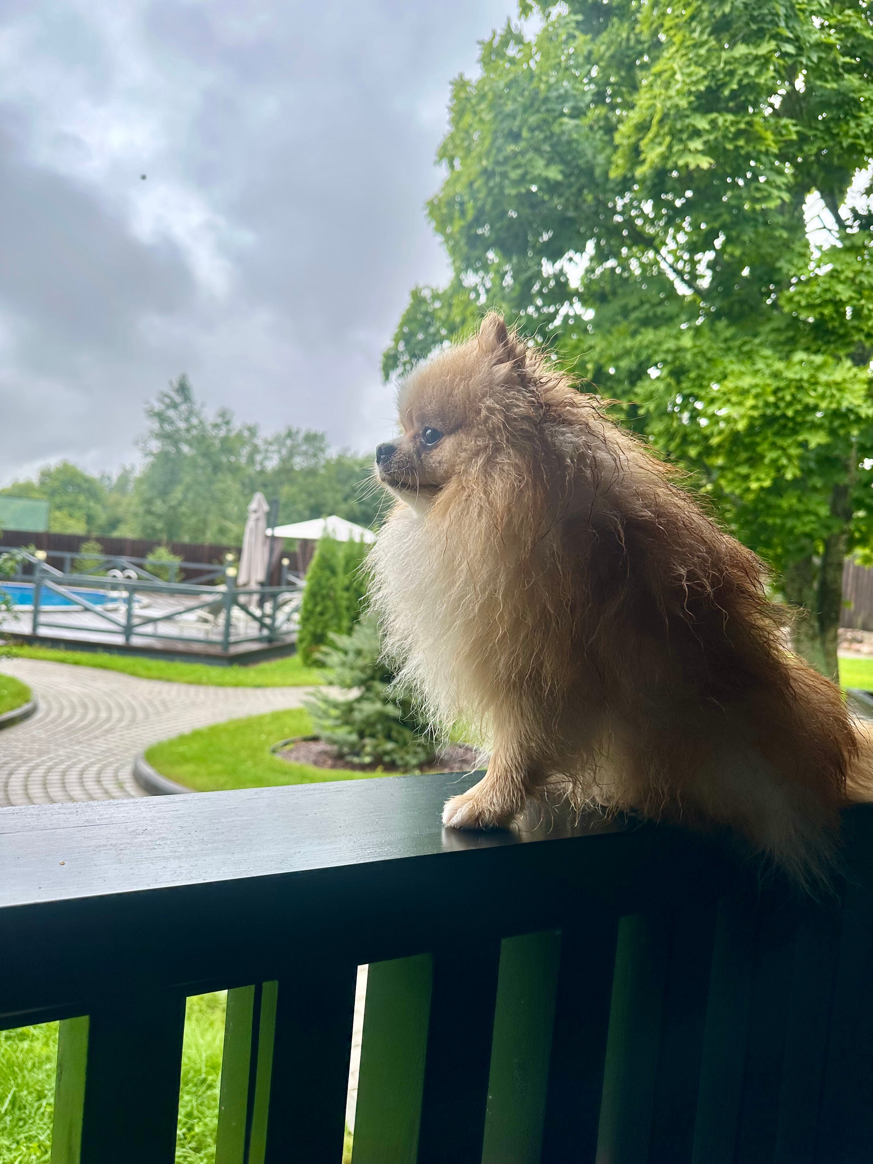 Фото Загородный дом Räisälä