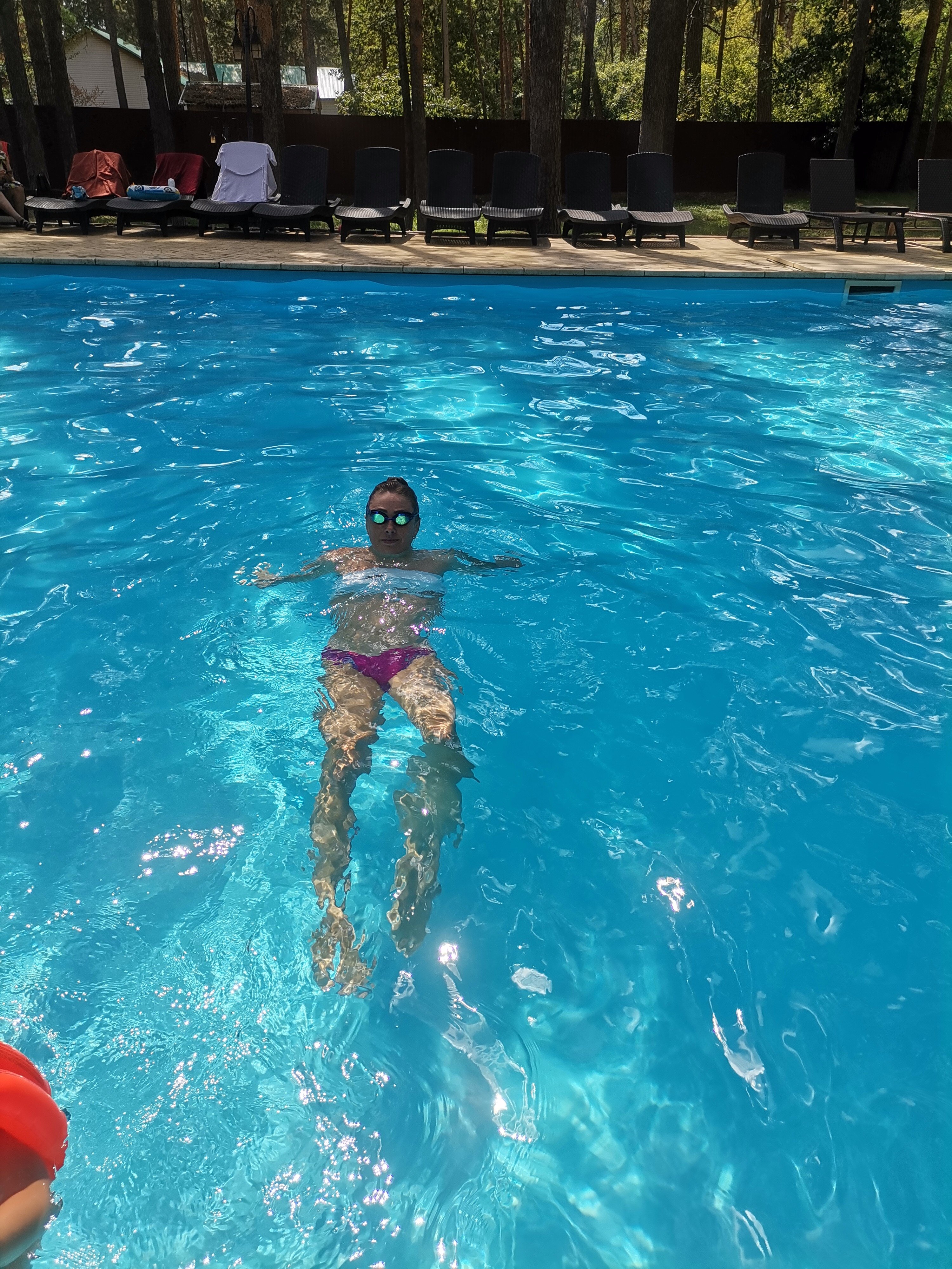 Фото ФорРест