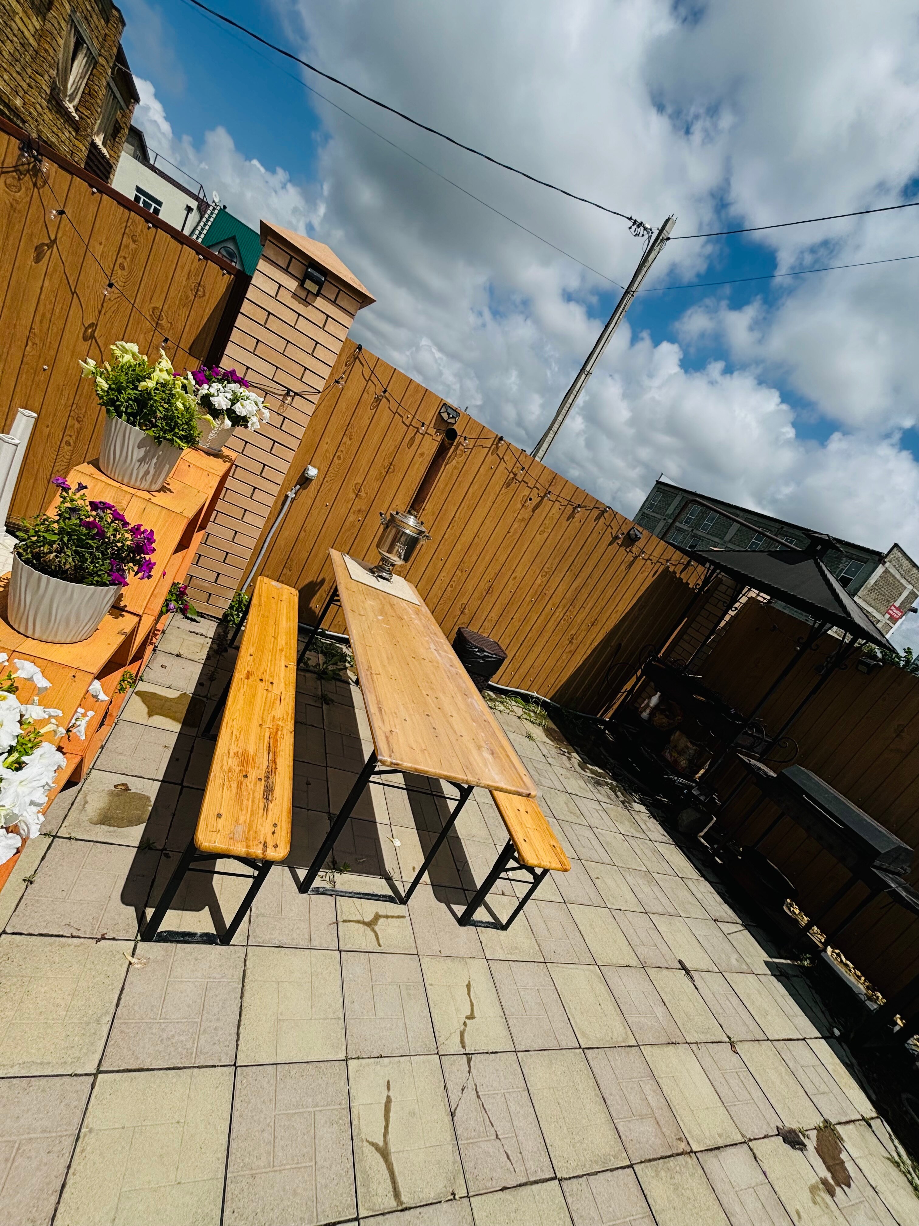 Фото Green Elephant