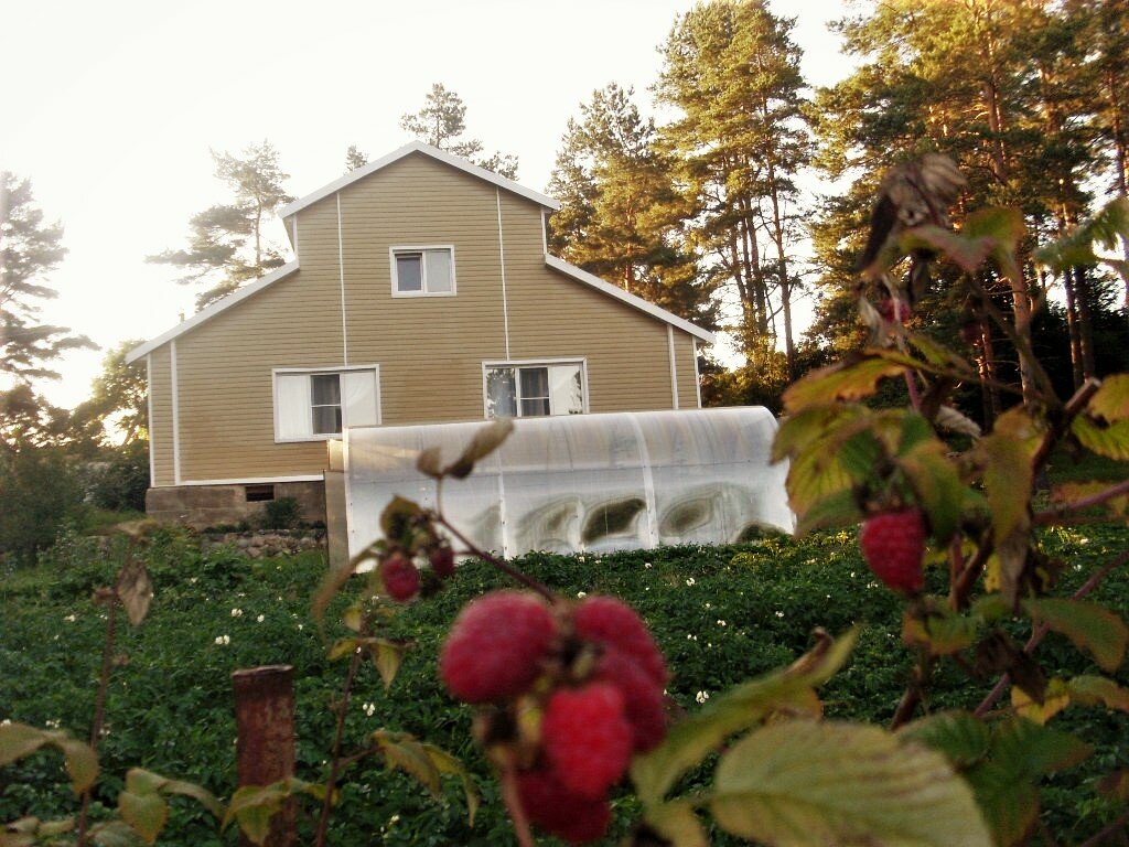 Фото Дом у сосен