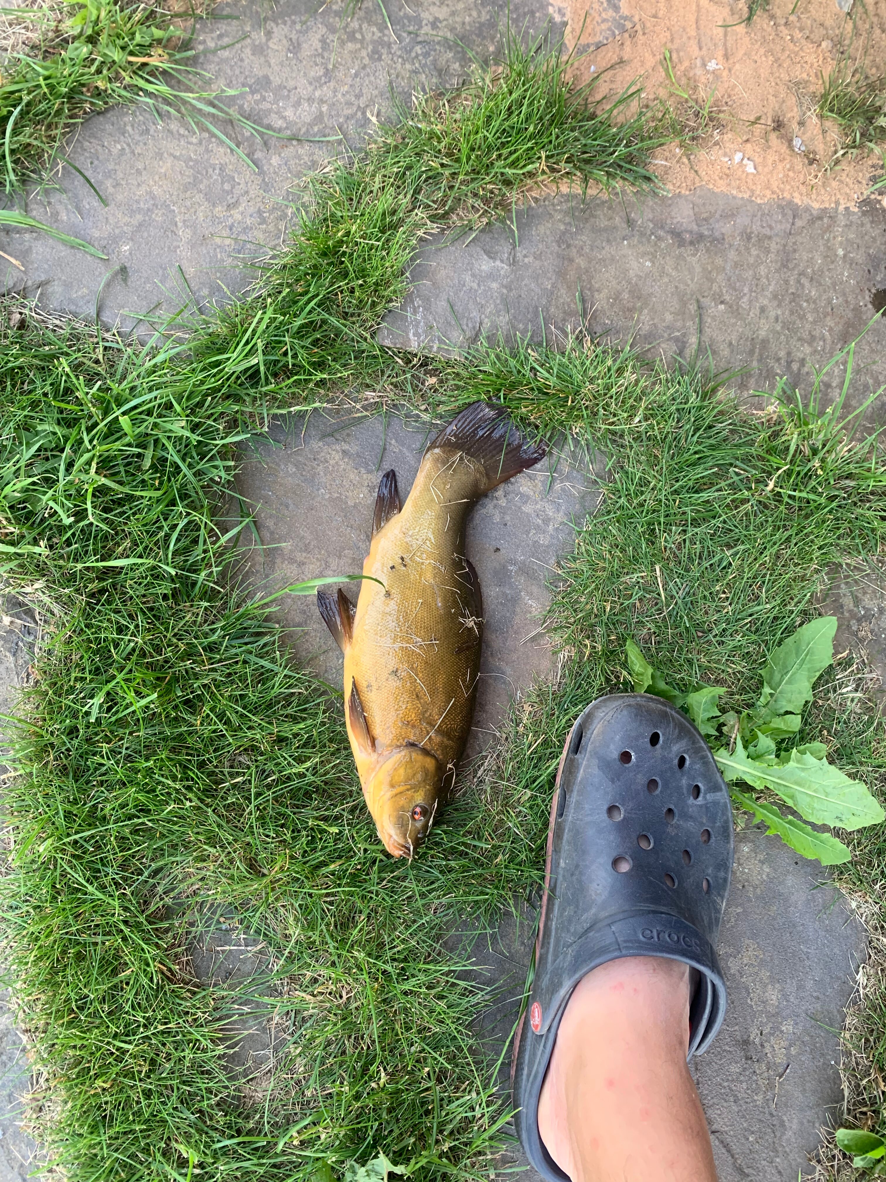 Фото Гагарин Барн